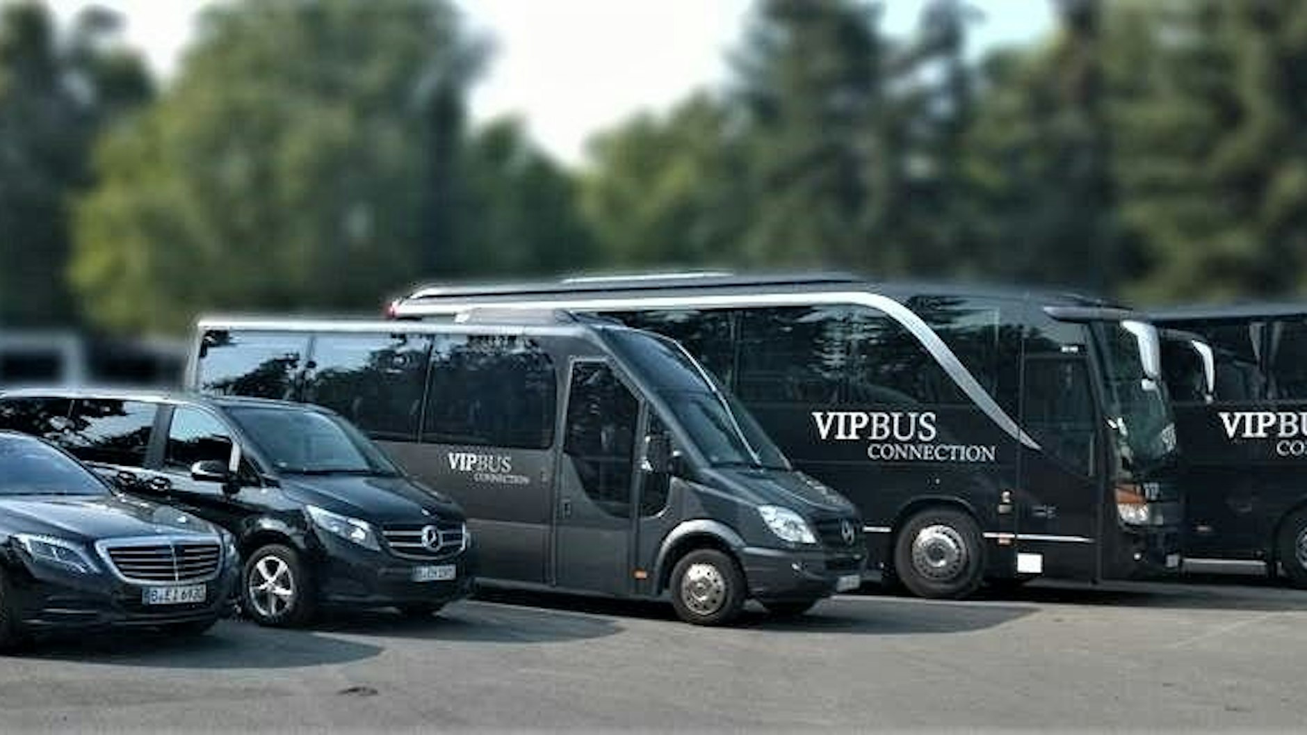 Eine Flotte für alle Bedürfnisse:&nbsp;Von bequemen Kleinbussen mit 6 Sitzplätzen bis hin zu komfortablen Doppeldecker-Bussen mit bis zu 80 Sitzplätzen.