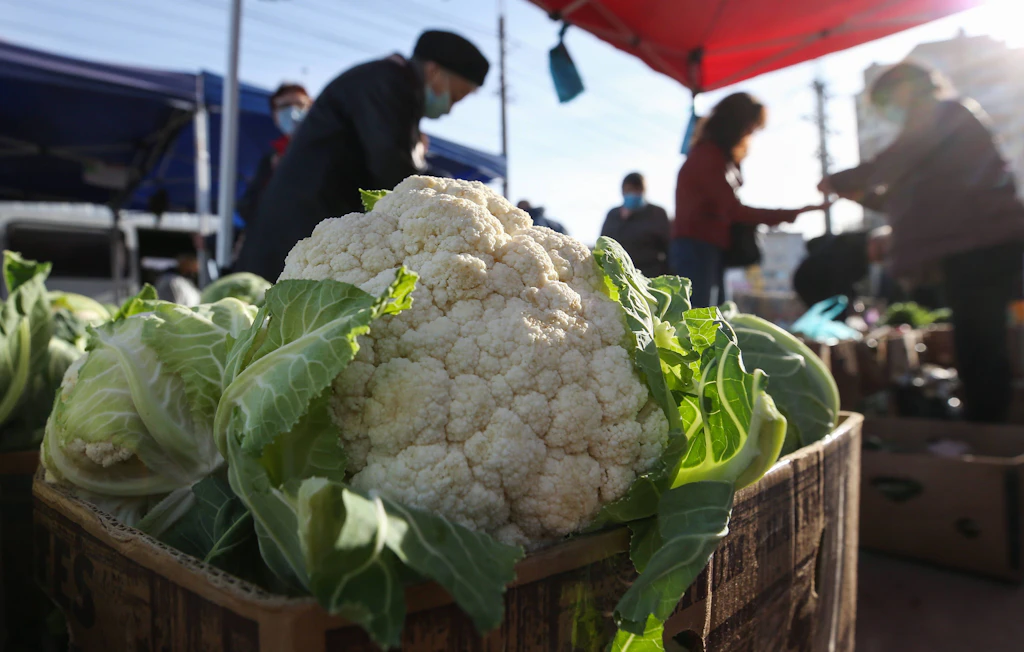 Blumenkohl auf pikantem Hackfleisch – diesen Auflauf lieben alle