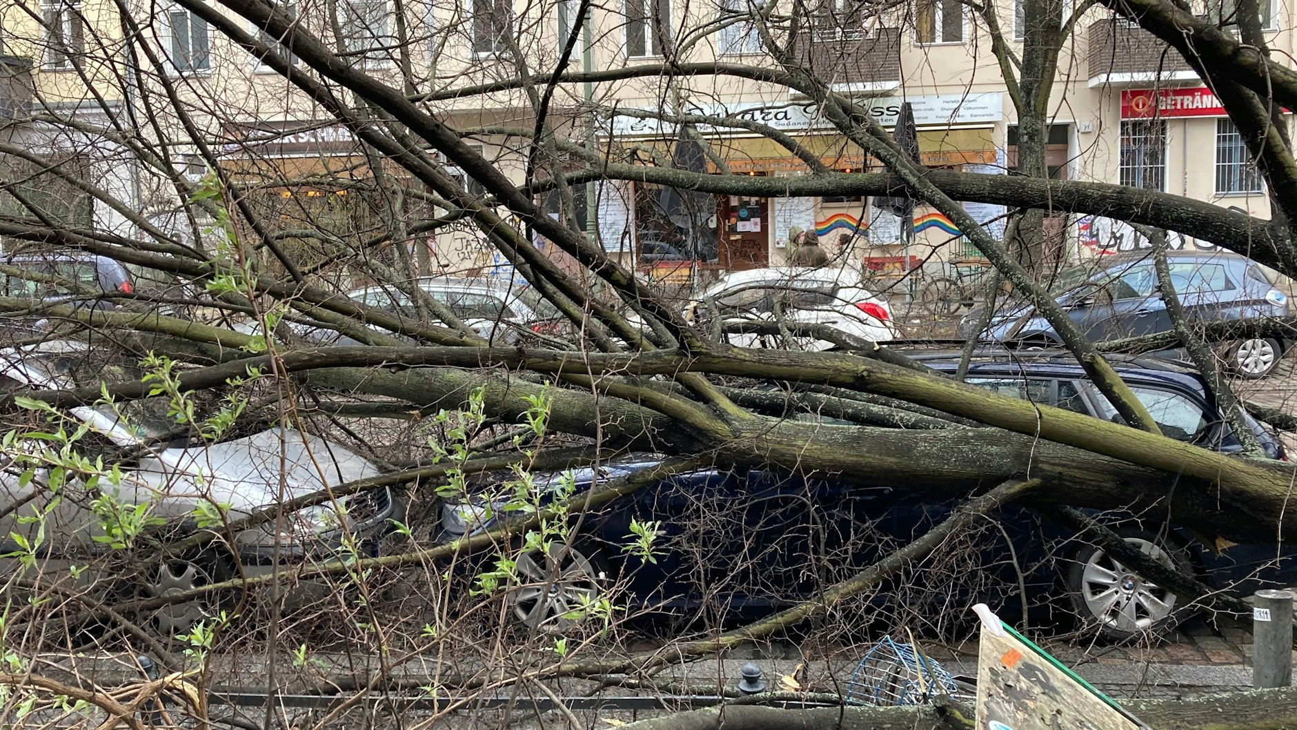 Ein Baum ist im Kreuzberg umgestürzt und auf Autos gefallen.