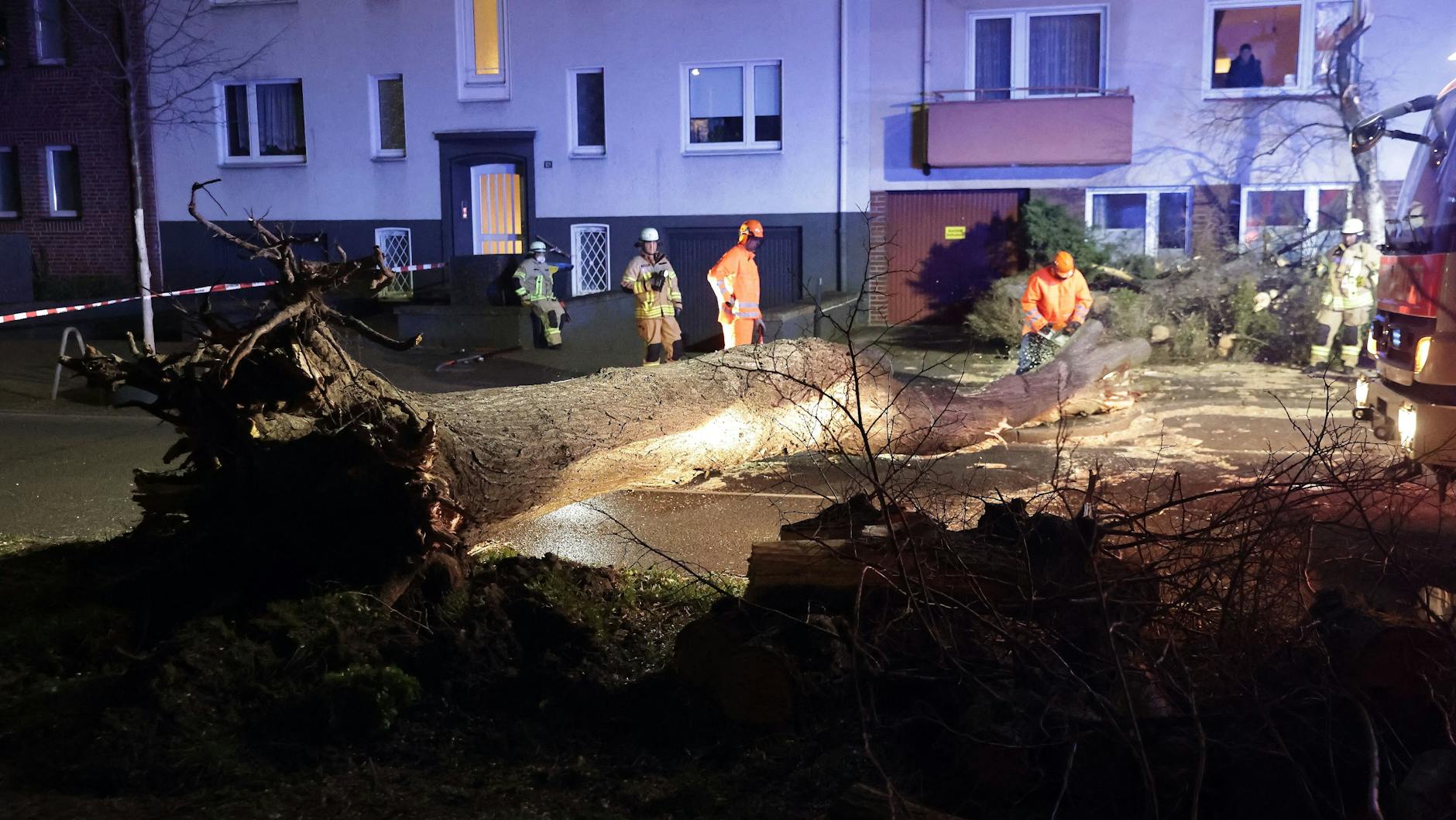 In Düsseldorf (NRW) ist ein Baum umgefallen und hat dabei ein Haus leicht beschädigt.