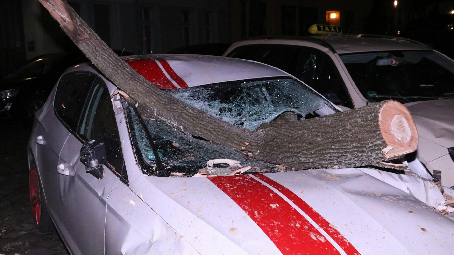 In Berlin-Neukölln durchbohrte ein Baum die Frontscheibe eines Autos.