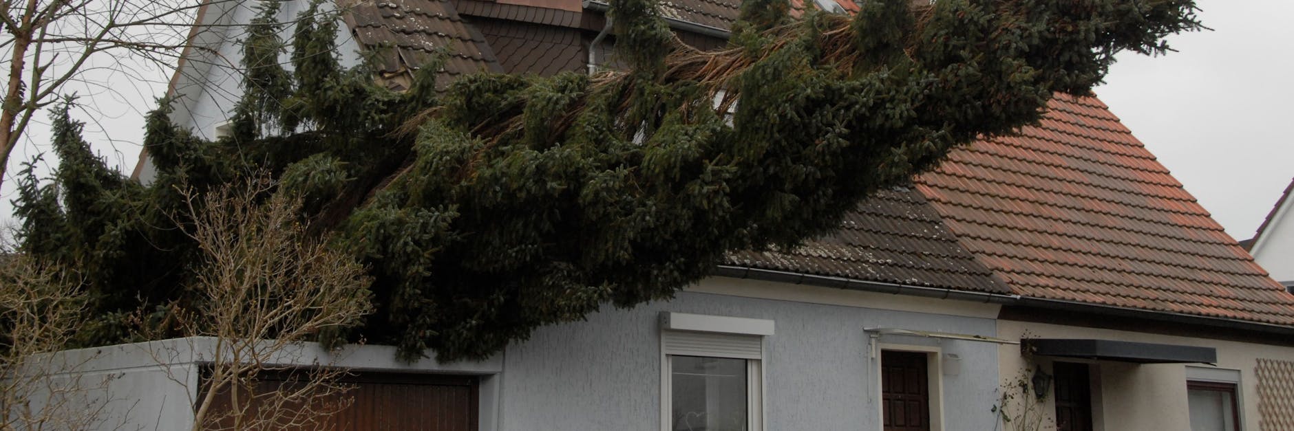 Eine Fichte hat sich im Berliner Stadtteil Lankwitz auf die Garage eines Hauses gelegt.