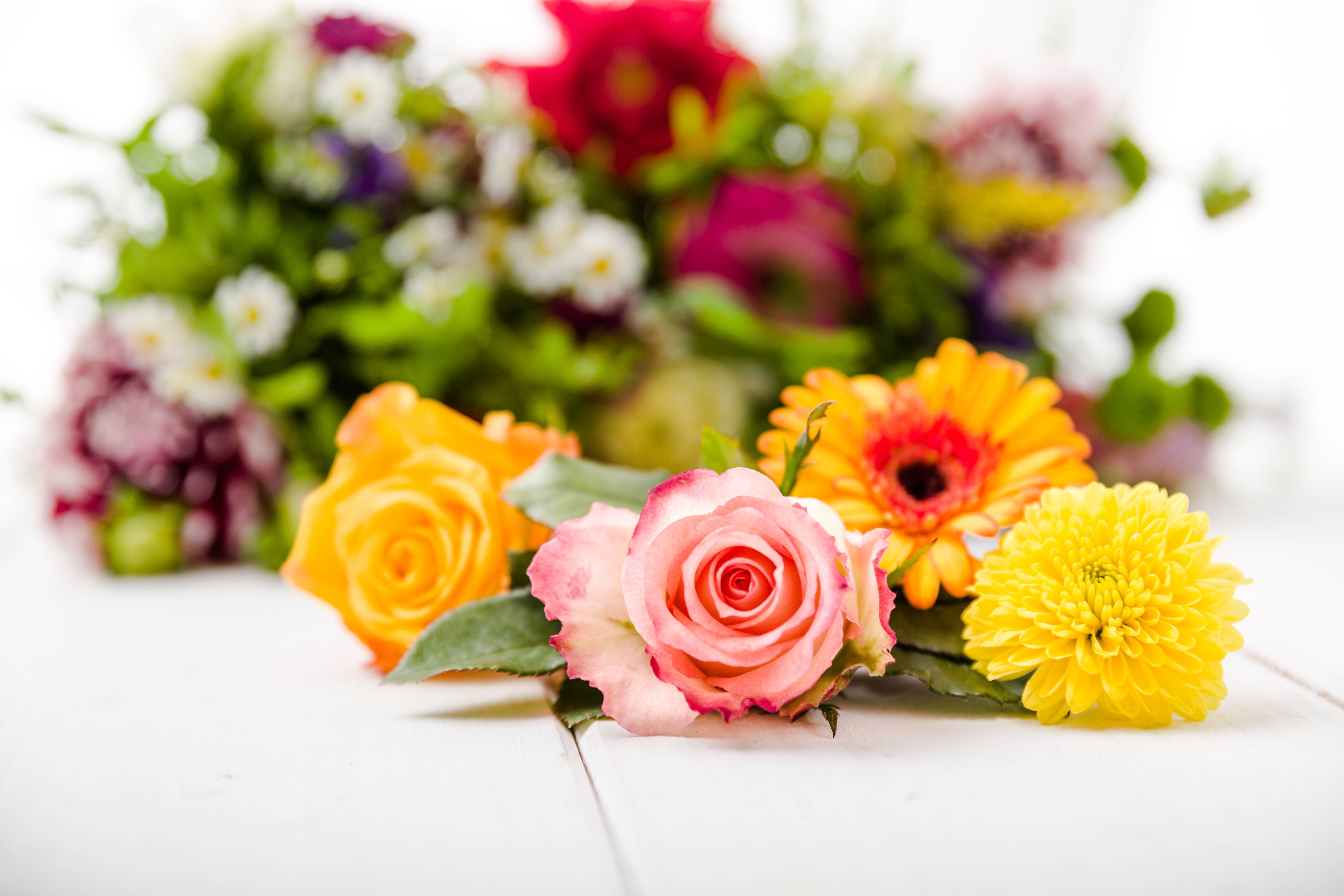 Blumenstrauß länger haltbar machen: Mit diesen 10 Tipps bleiben Ihre Schnittblumen so lange wie möglich schön