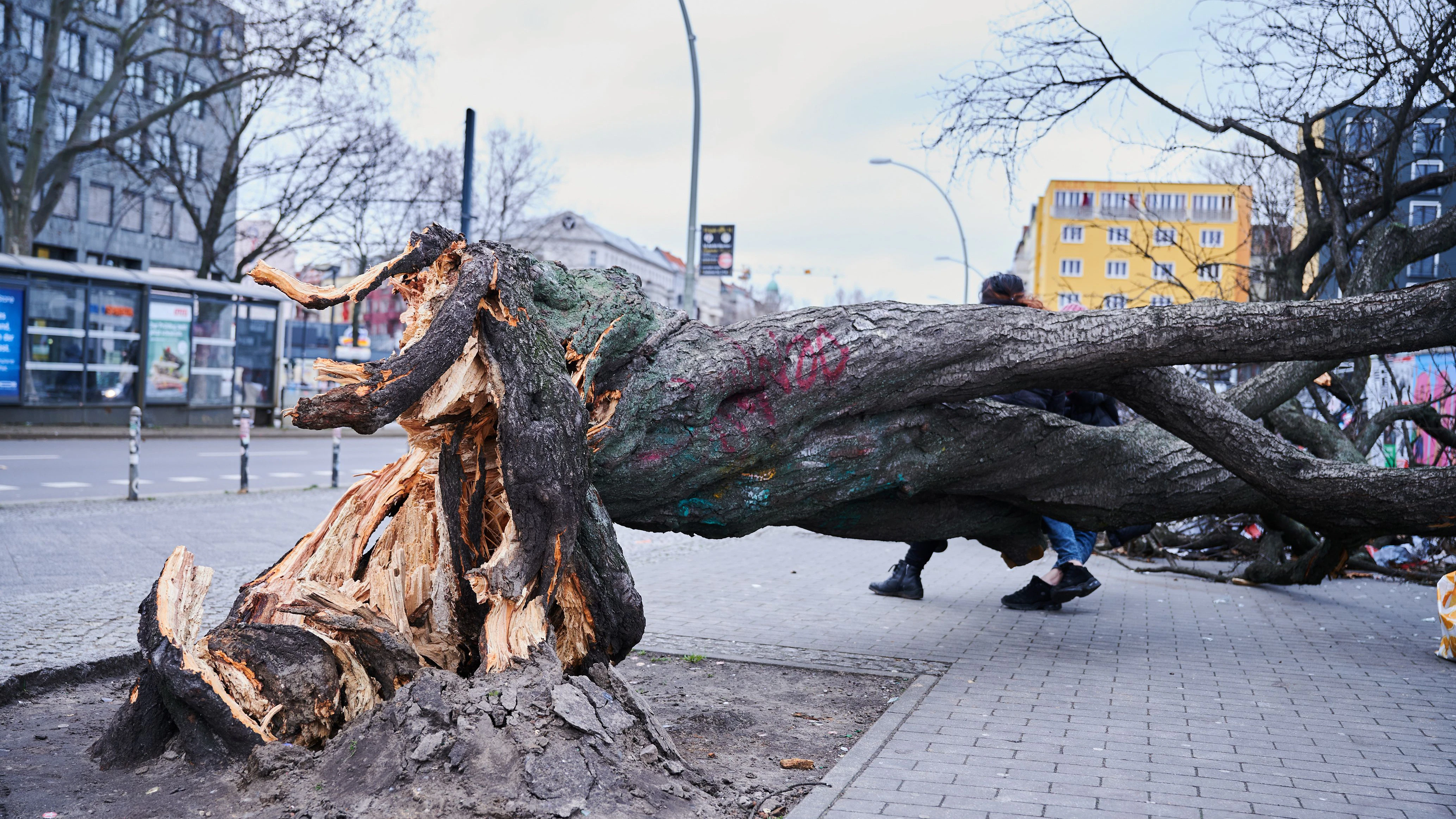 Ein Baum liegt auf dem Gehweg an der Warschauer Straße.