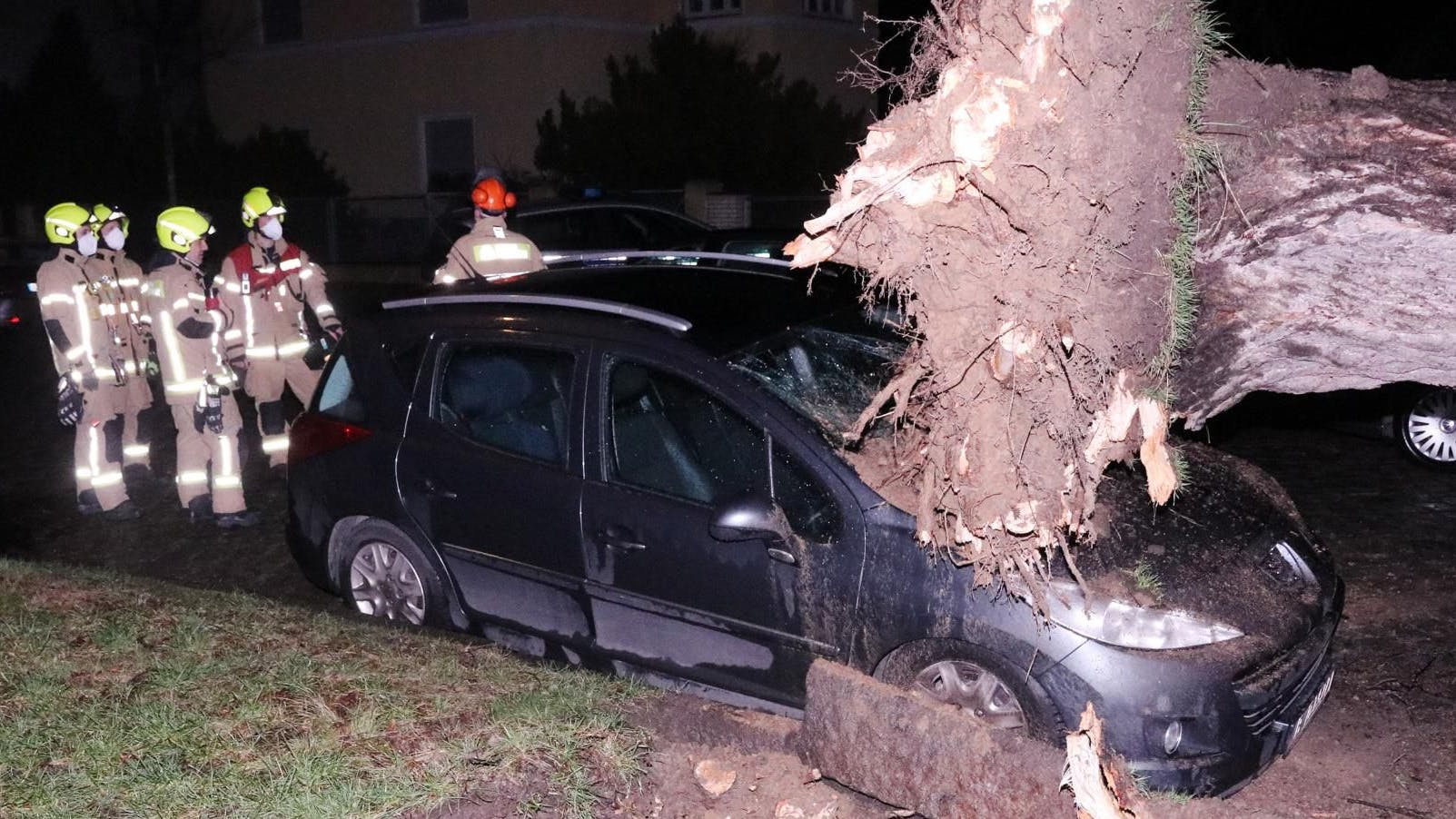 Ein Baum ist in der Schillerstraße in Berlin-Lichtenrade auf ein Auto gekracht.