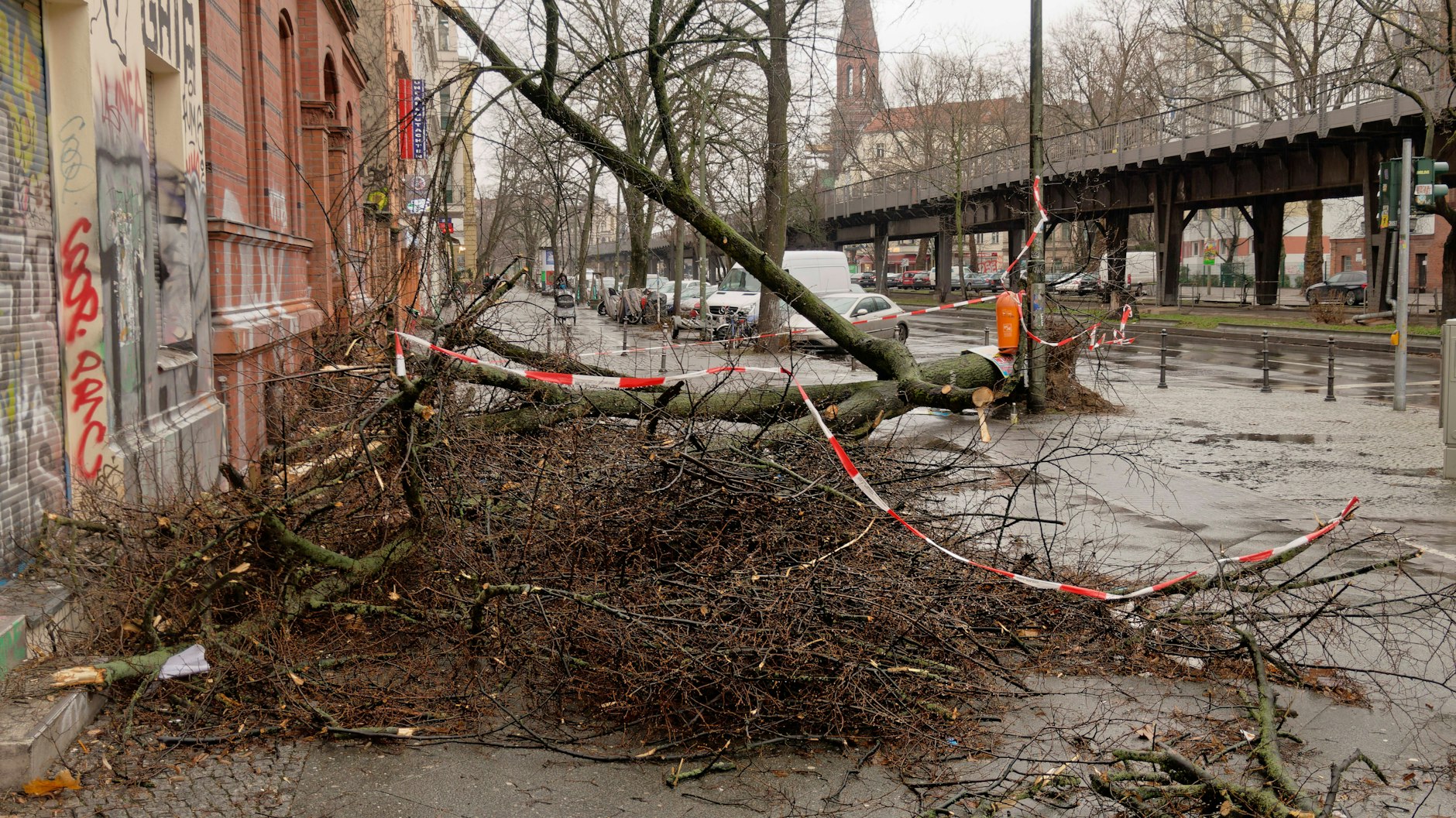 Sturmtief „Ylenia“, „Zeynep “und „Antonia“ sorgten in den vergangenen Tagen für einen Ausnahmezustand mit orkanartigen Böhen über Berlin und Brandenburg.