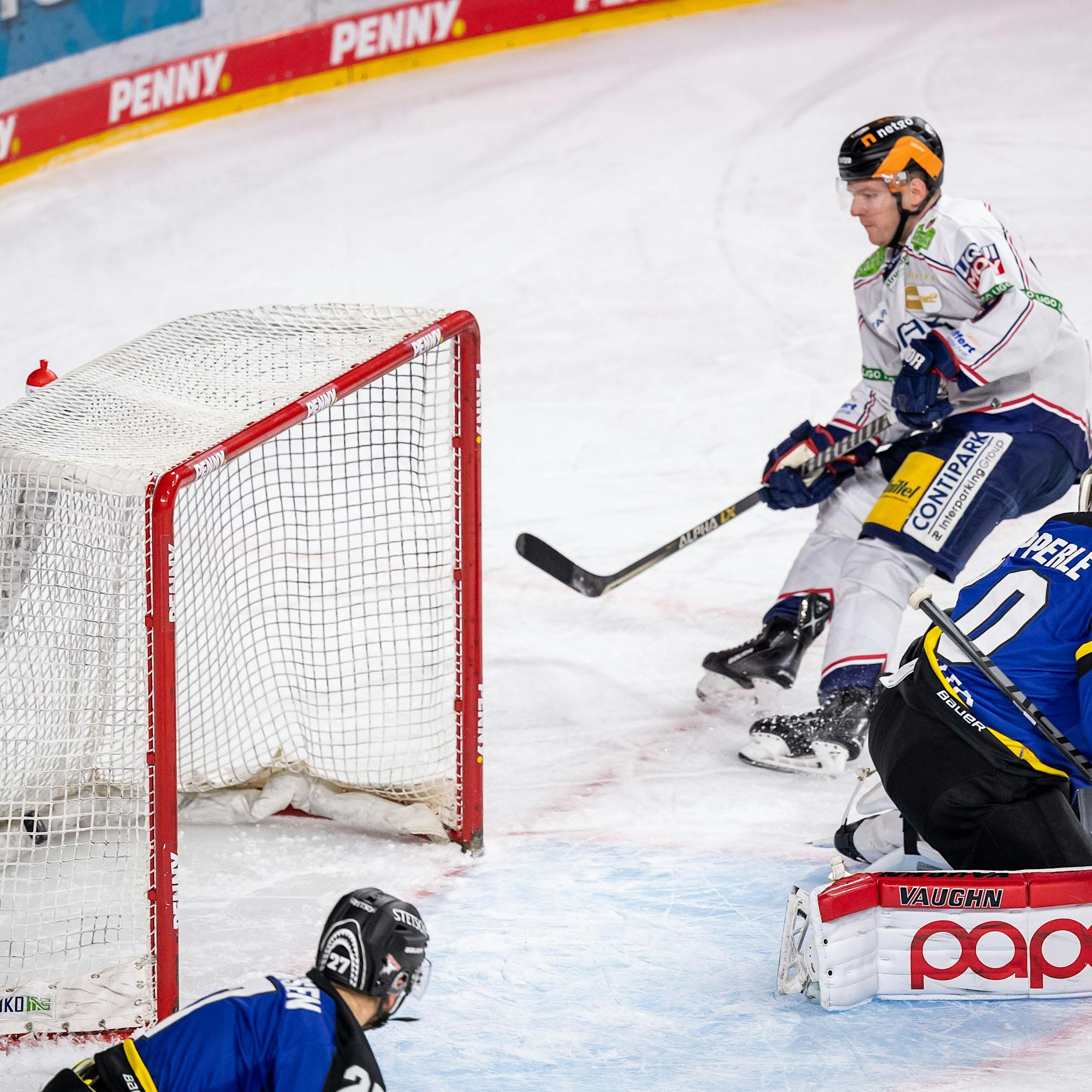 7:1 bei den Kölner Haien! Eisbären melden sich mit einem Knall-Bonbon zurück