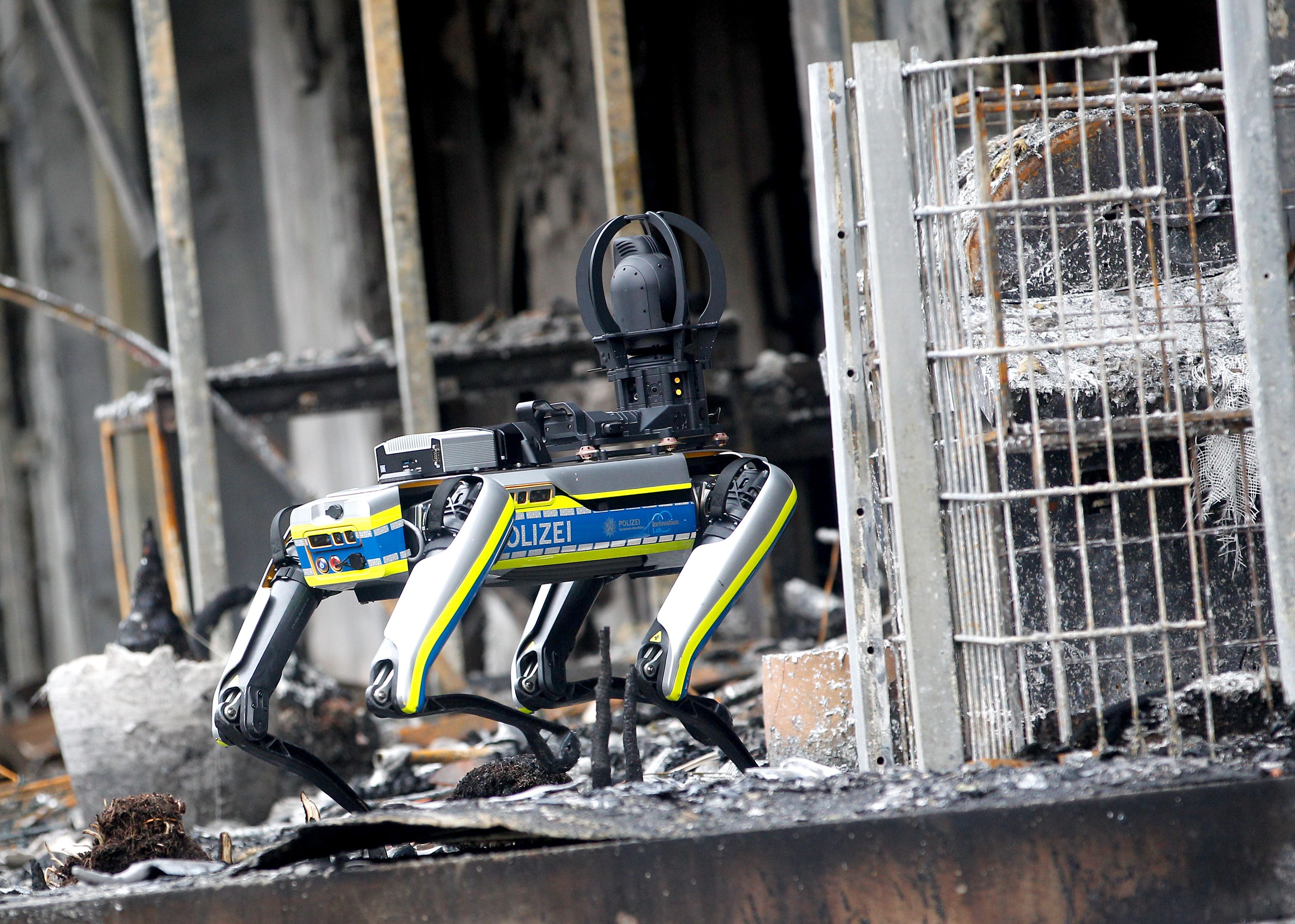 Großfeuer in Essen: Roboterhund untersucht ausgebrannten Wohnkomplex