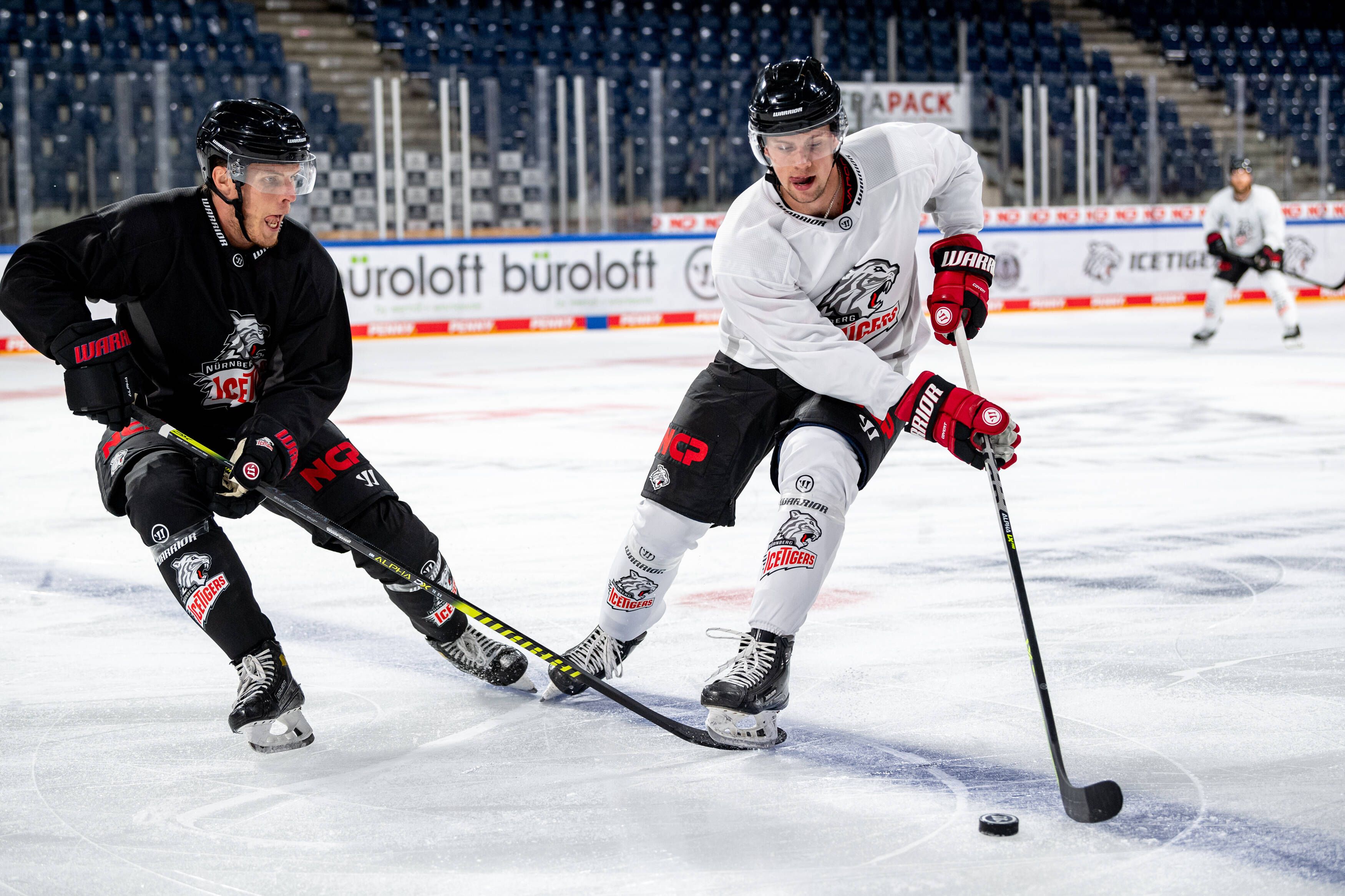 Hai wird Eisbär: EHC holt Nationalspieler Dominik Bokk aus den USA