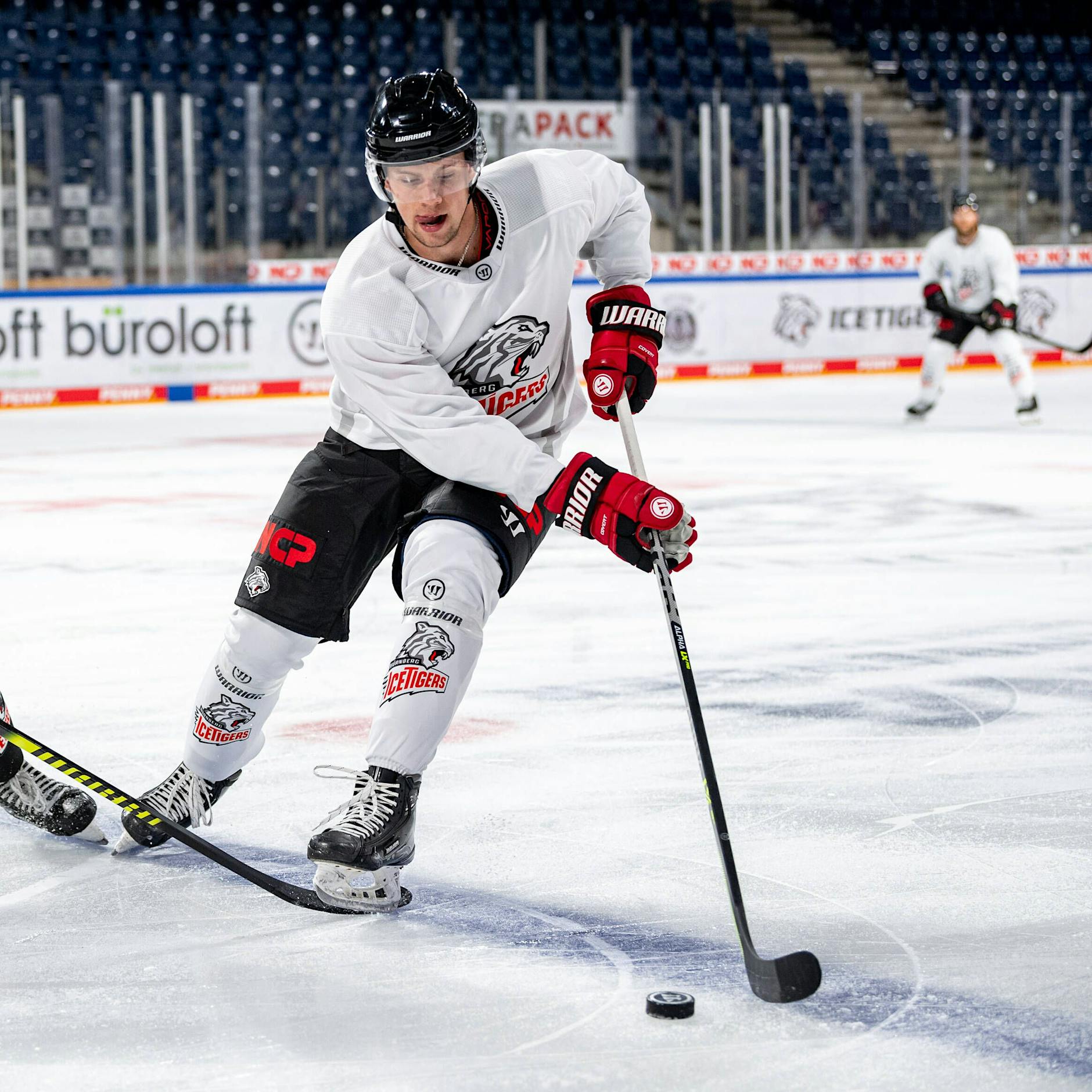 Hai wird Eisbär: EHC holt Nationalspieler Dominik Bokk aus den USA
