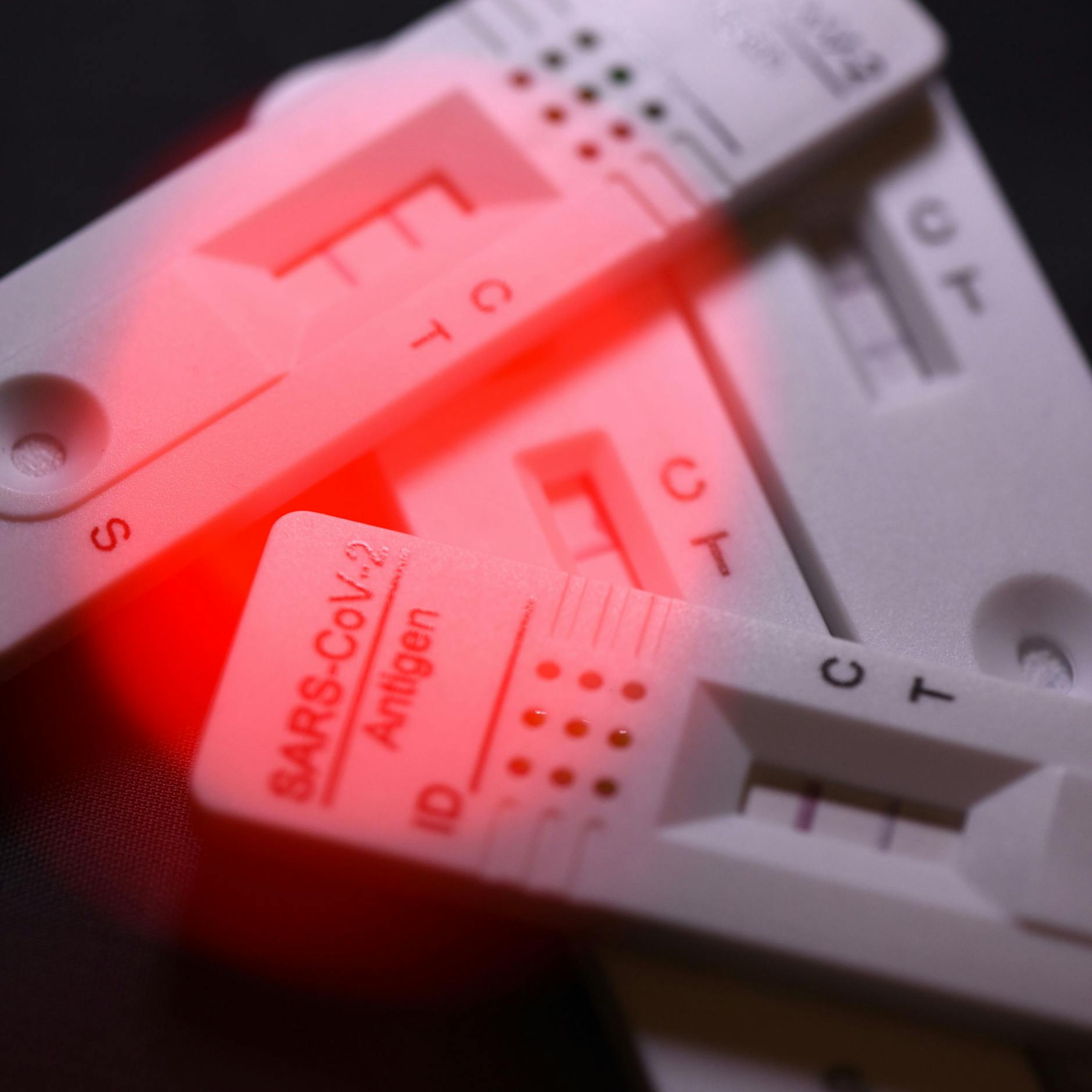 Image - Studie zu Omikron: Jeder Zweite bemerkte Infektion nicht