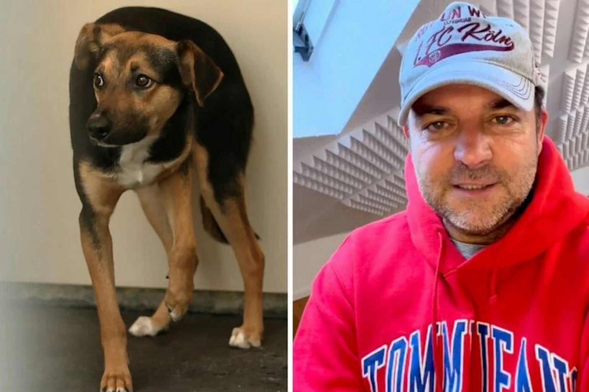 Hund Axel war extrem ängstlich. Martin Rütter musste auf Instagram aufklären, was passiert ist.