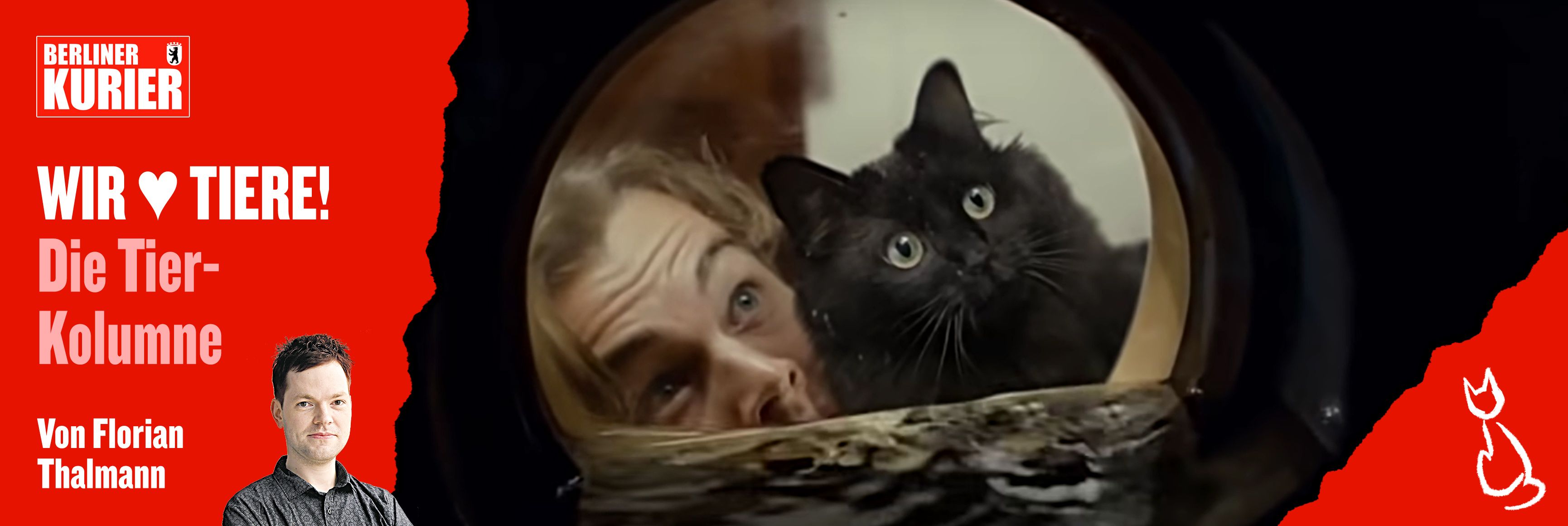 Image - Zum Brüllen! Die süße Katze Lizzy ist ein Hollywood-Star – ihre Videos müssen Sie unbedingt gesehen haben