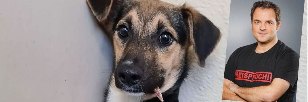 Hund Axel sorgte für Aufregung bei Martin Rütter.