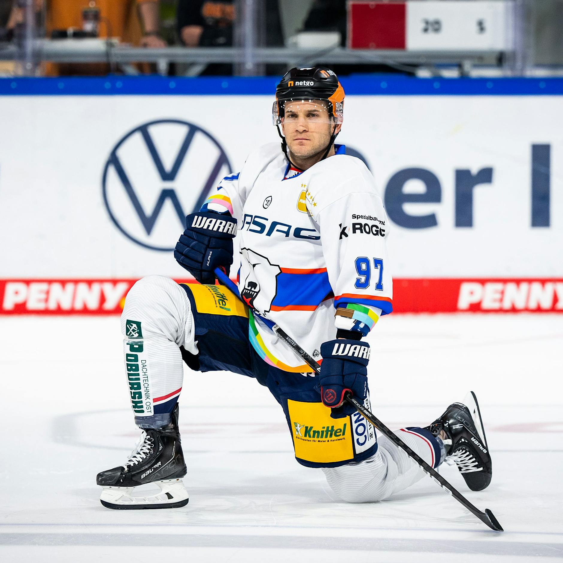 Eisbär Matt White: Für seine Frau trifft wie er will