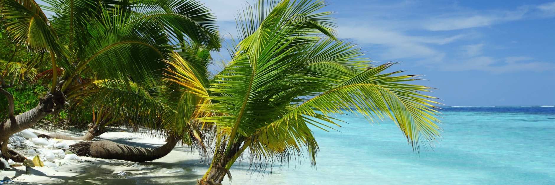 Palmen, Sonne und Traumstrände: Die Deutschen haben wieder mehr Lust auf einen sorgenfreien Karibik-Urlaub.