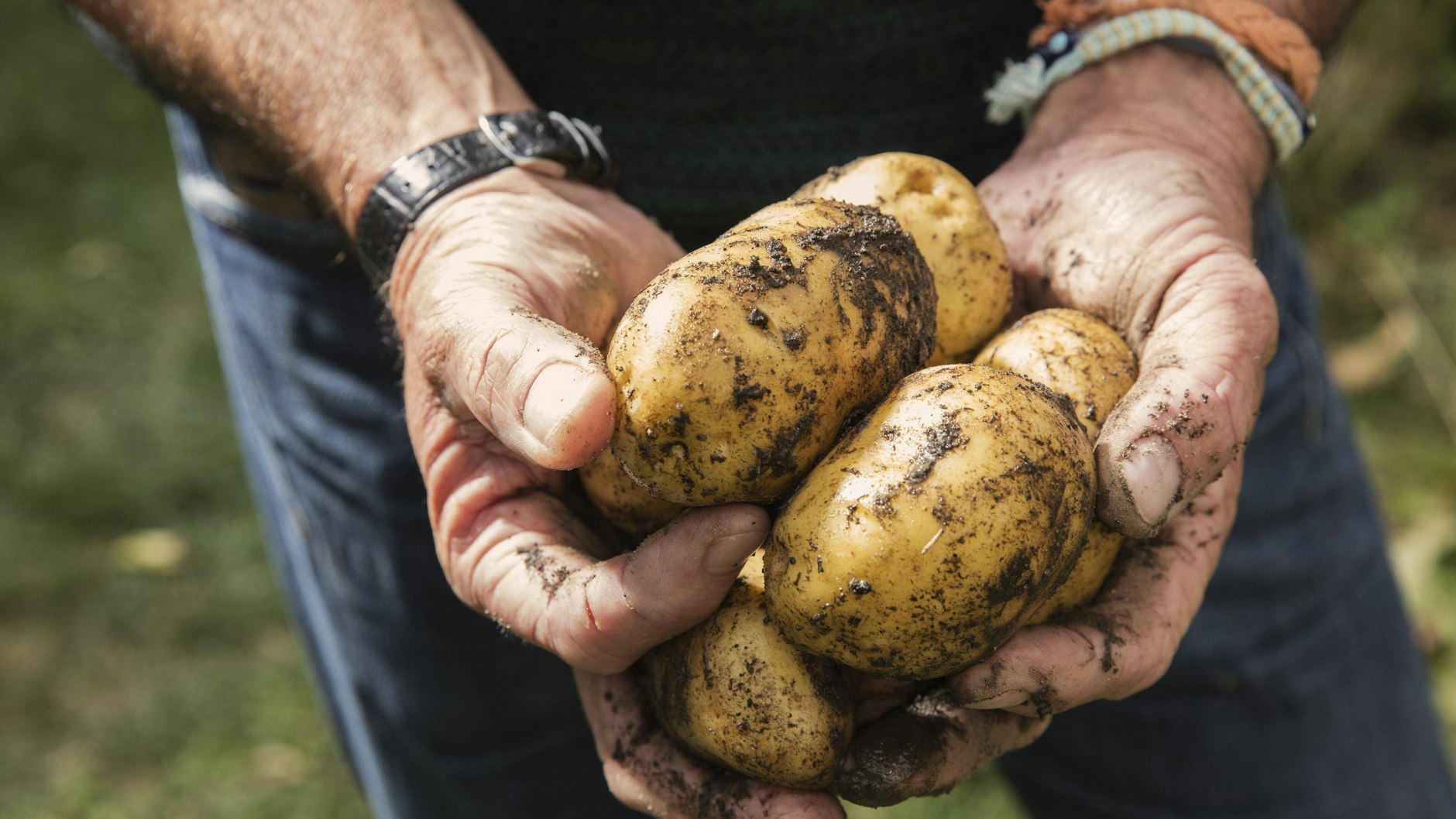 Ohne diese Dinger geht bei uns gar nichts.