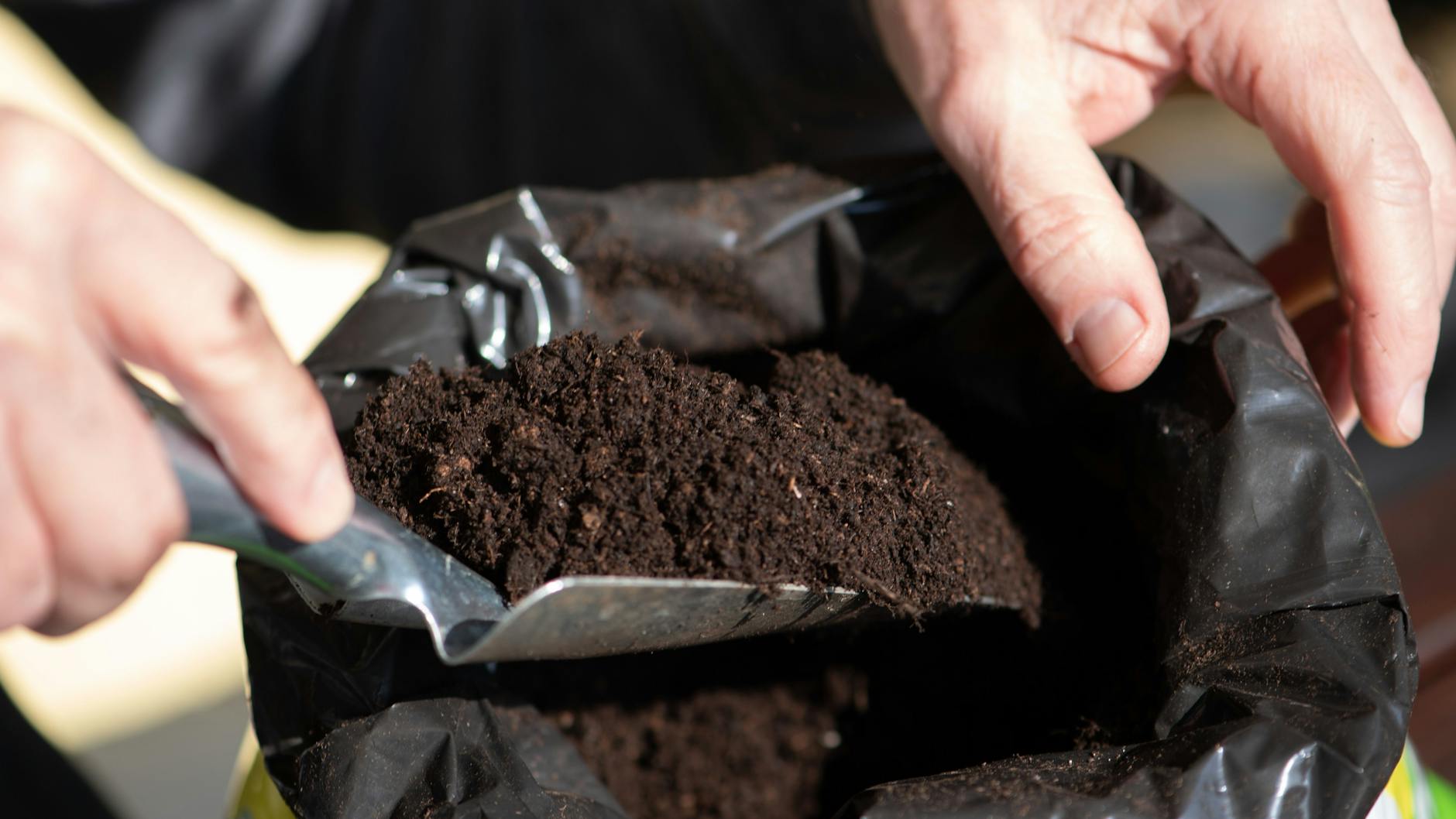Es gibt unzählige Spezialerden zu kaufen, aber nicht alle sind nötig.