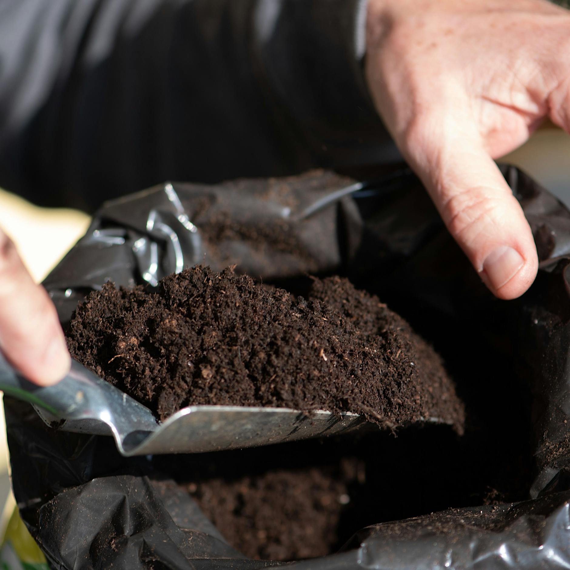 Tomatenerde, Geranienerde, Zitruserde: Welche Erden brauche ich wirklich?