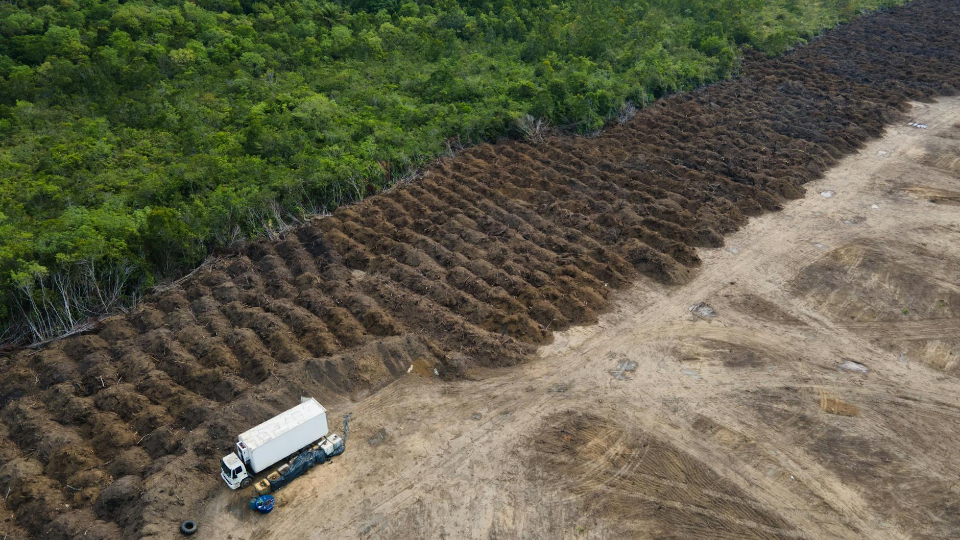 Brasilien: Ein Lastwagen steht in einem abgeholzten Gebiet des Amazonas.