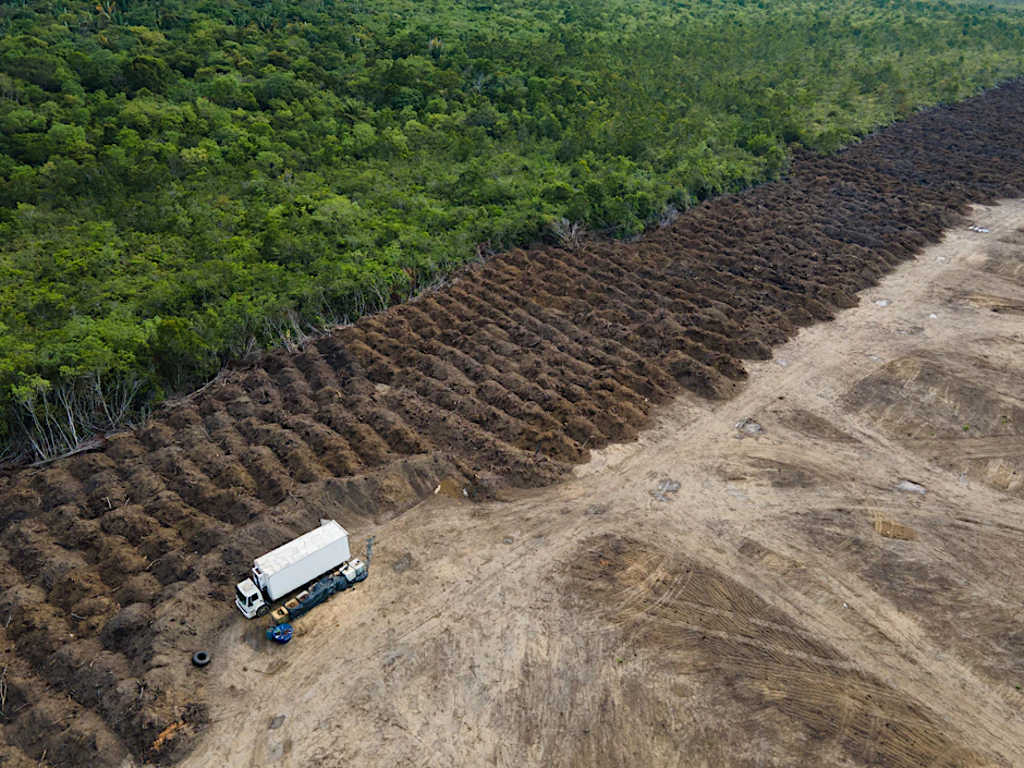 Brasilien: Ein Lastwagen steht in einem abgeholzten Gebiet des Amazonas.