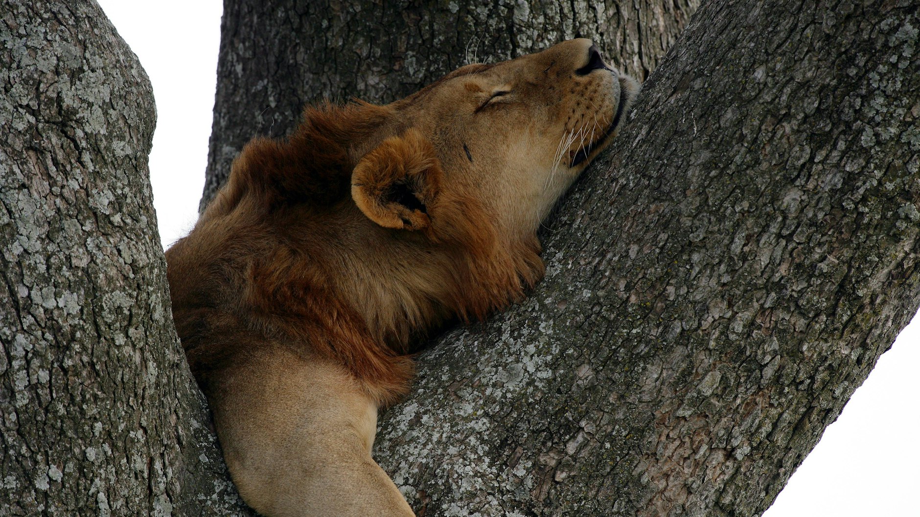 Die letzten 30 Jahre - war unsere Gesellschaft womöglich zu träge?