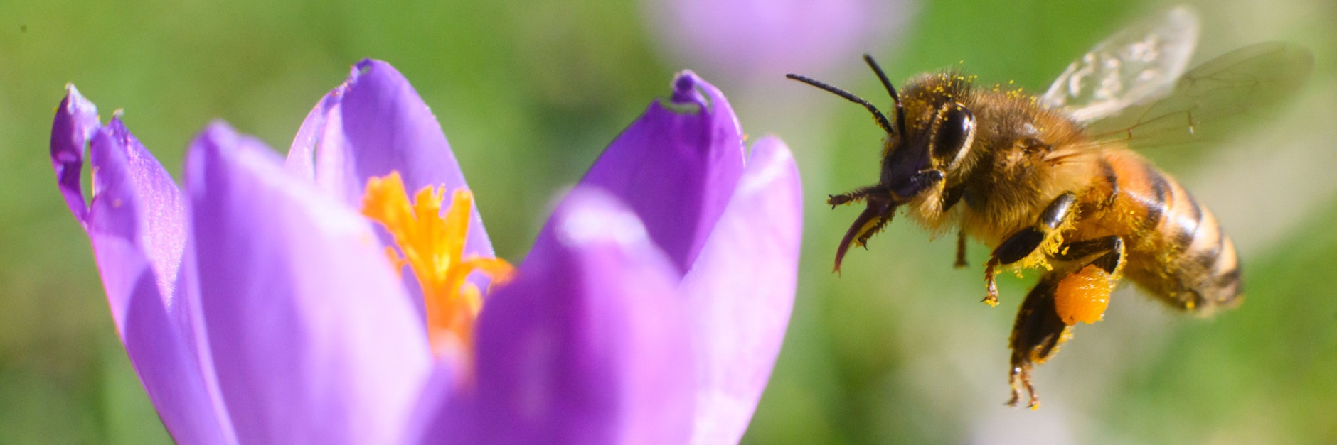 Frühling liegt in der Luft, sagen die Meteorologen.