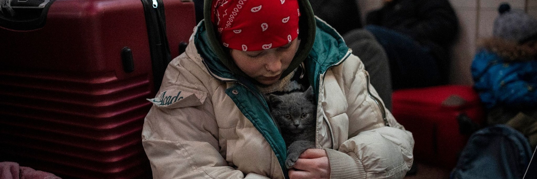Für viele Menschen, die aus den Kriegsgebieten flüchten müssen, sind ihre Haustiere auch ein Trost.