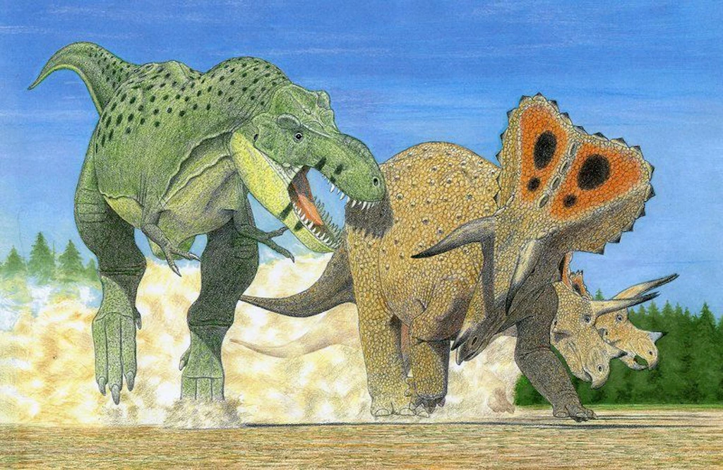 Forscher plädieren für drei Tryannosaurus-Arten: rex, regina, imperator