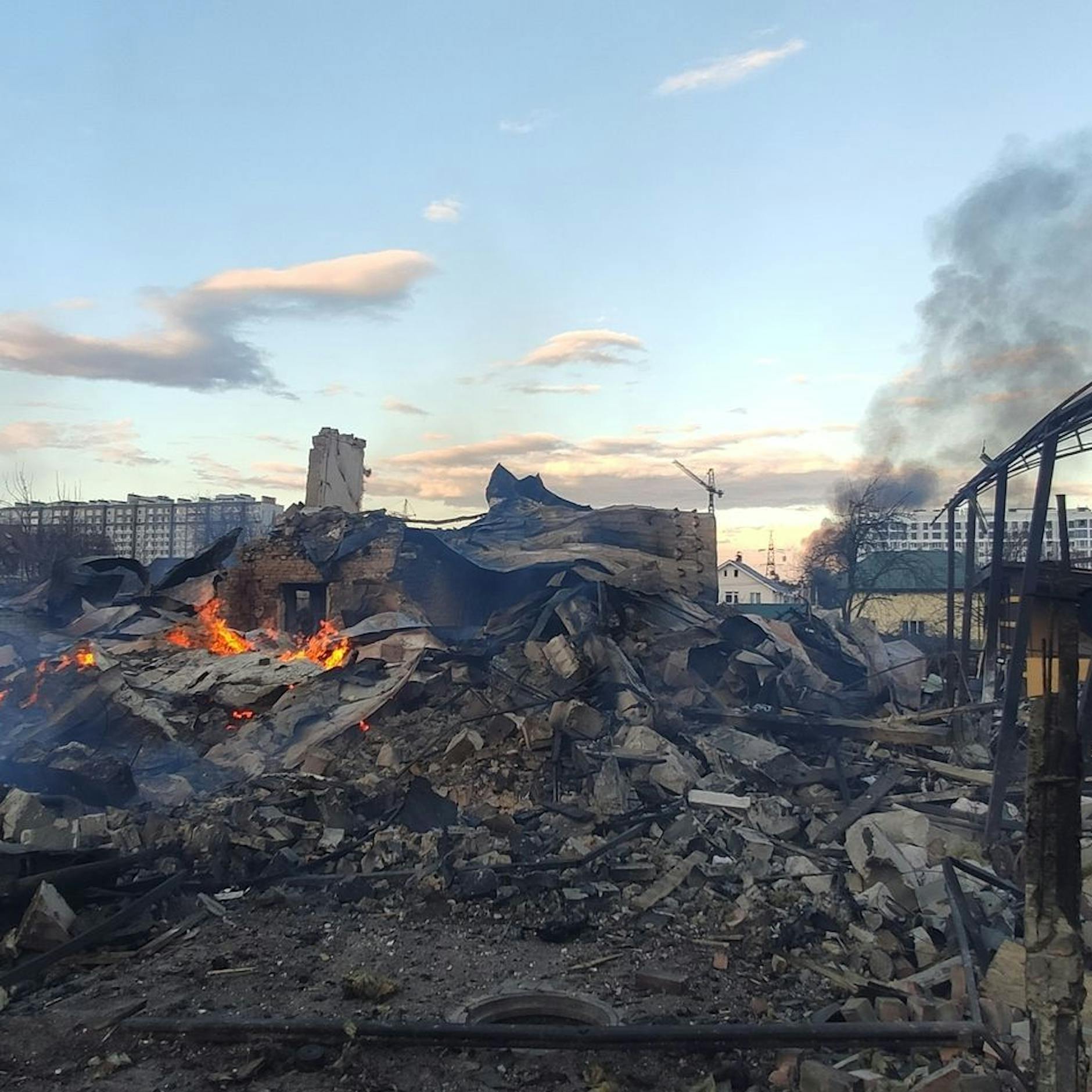 Irre Theorie: Trieb die Corona-Angst Wladimir Putin in den Krieg?