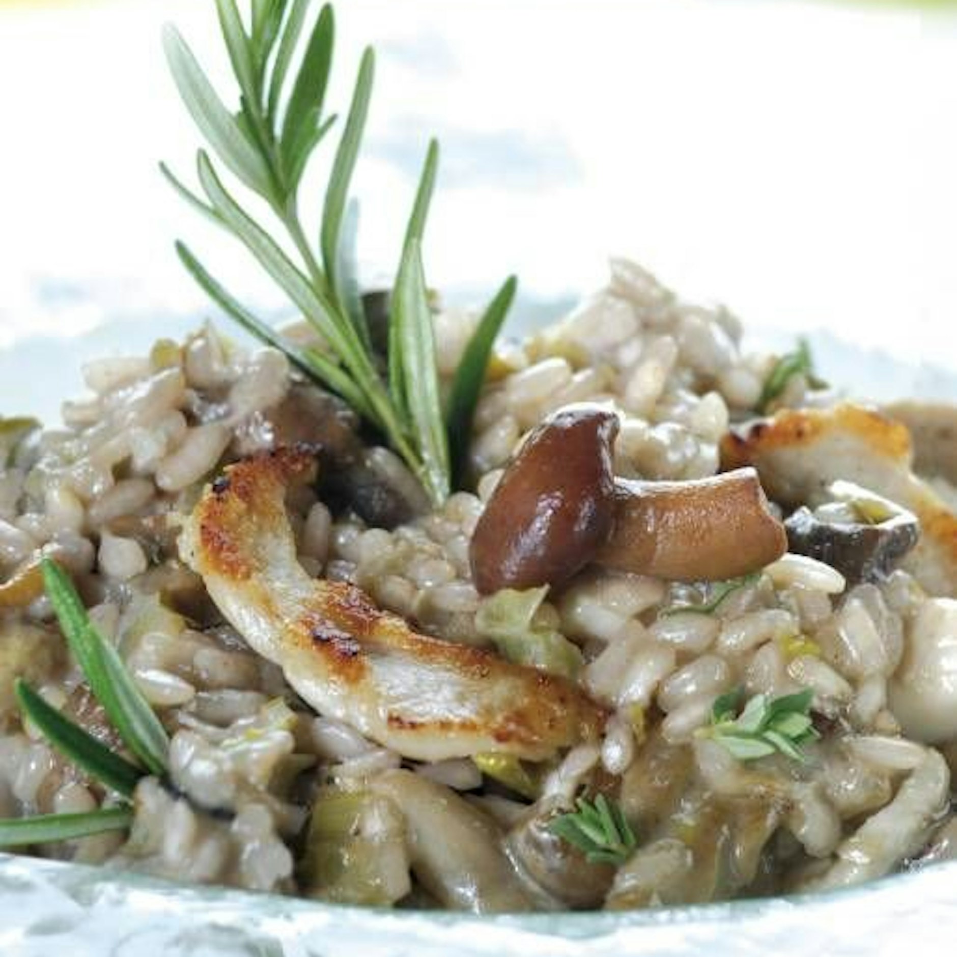 Wer mag, ergänzt sein Pilz-Risotto mit angebratenem Hähnchen.