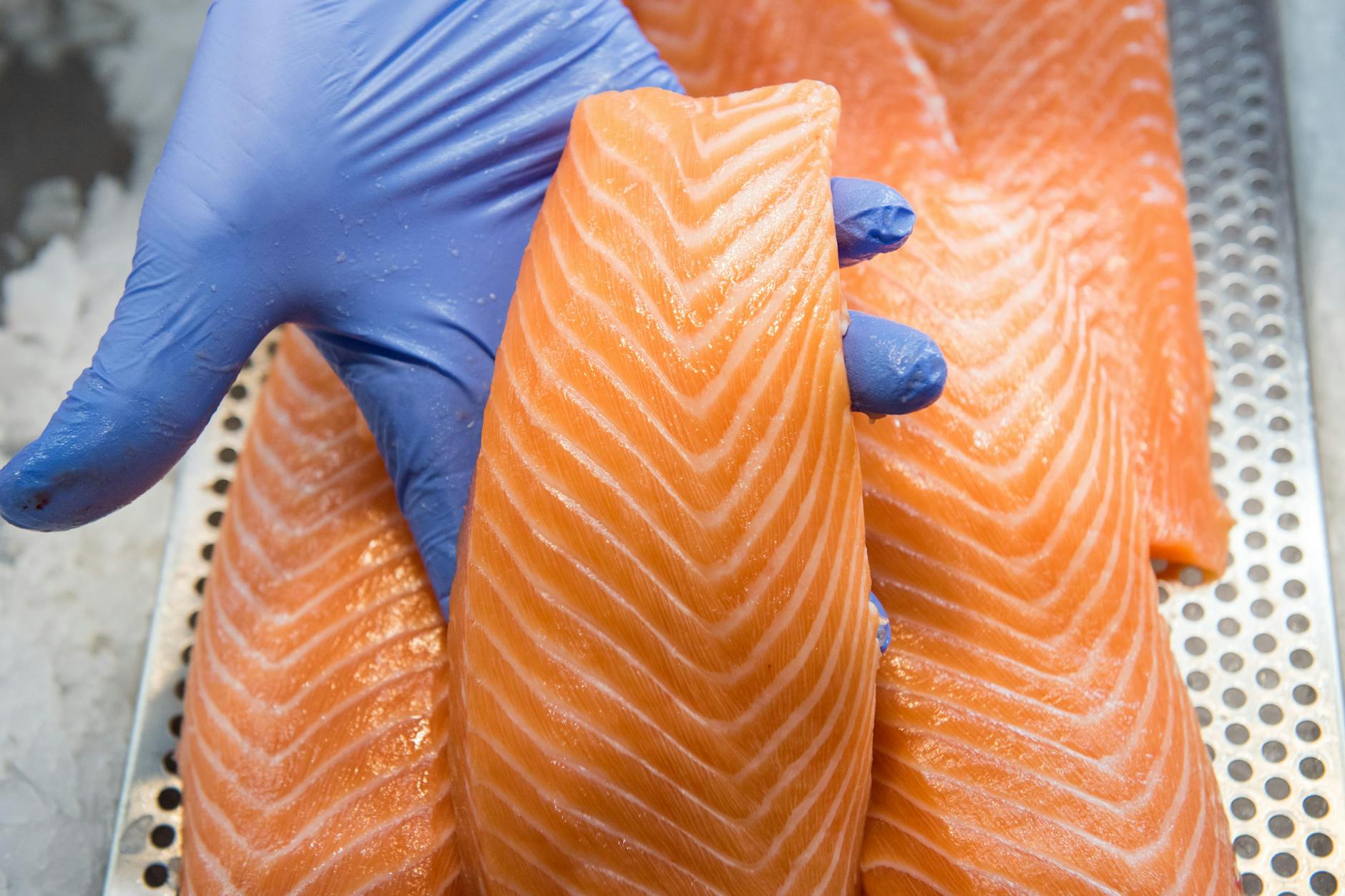 Lachs gilt als guter Helfer bei der Fettverbrennung. Zu lange lagern sollte er allerdings nicht.