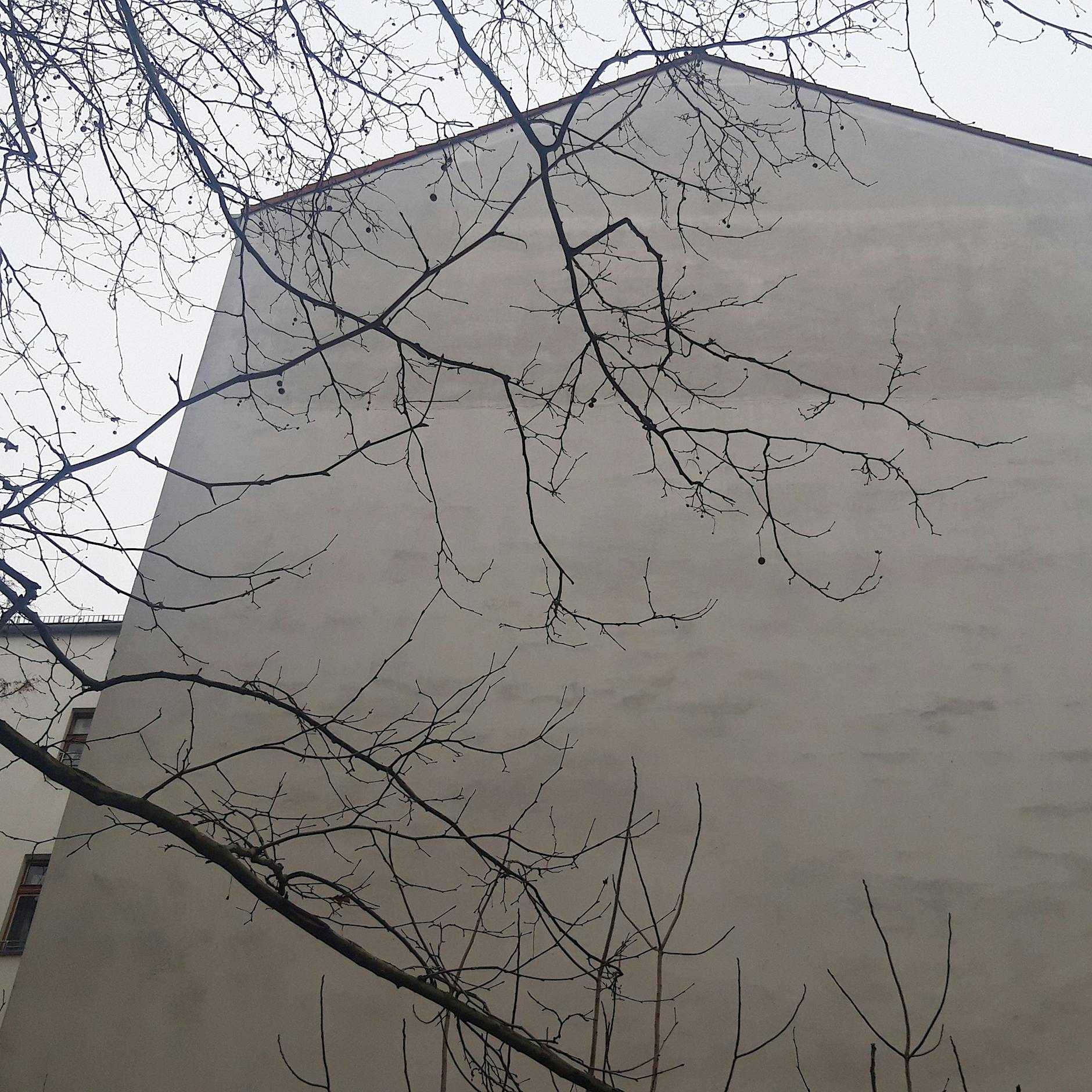 Ein leeres Grundstück