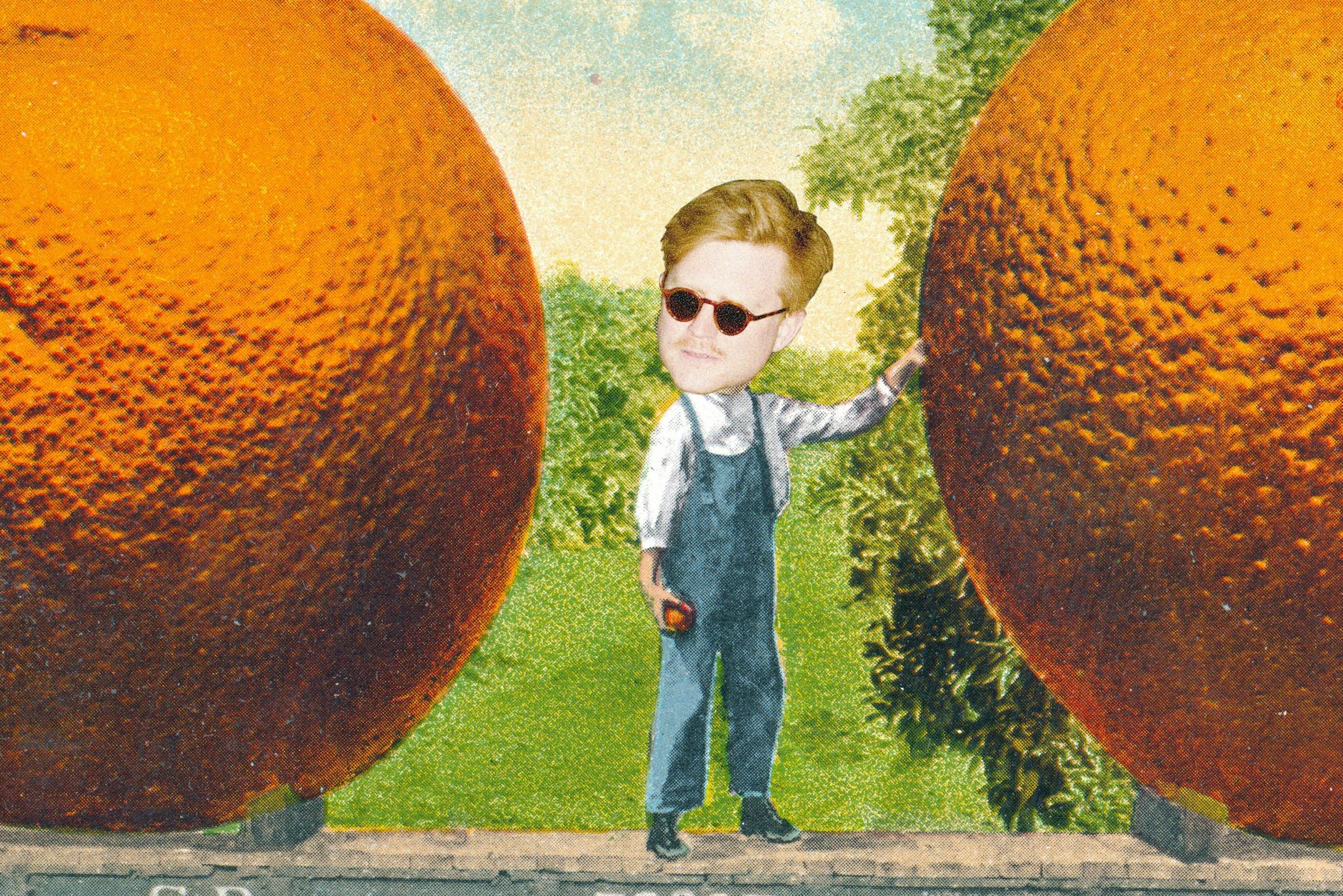 Jesko zu Dohna weiß Bescheid: Orangen sind gut!