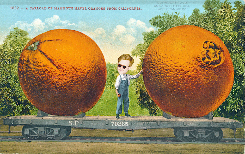 Jesko zu Dohna weiß Bescheid: Orangen sind gut!