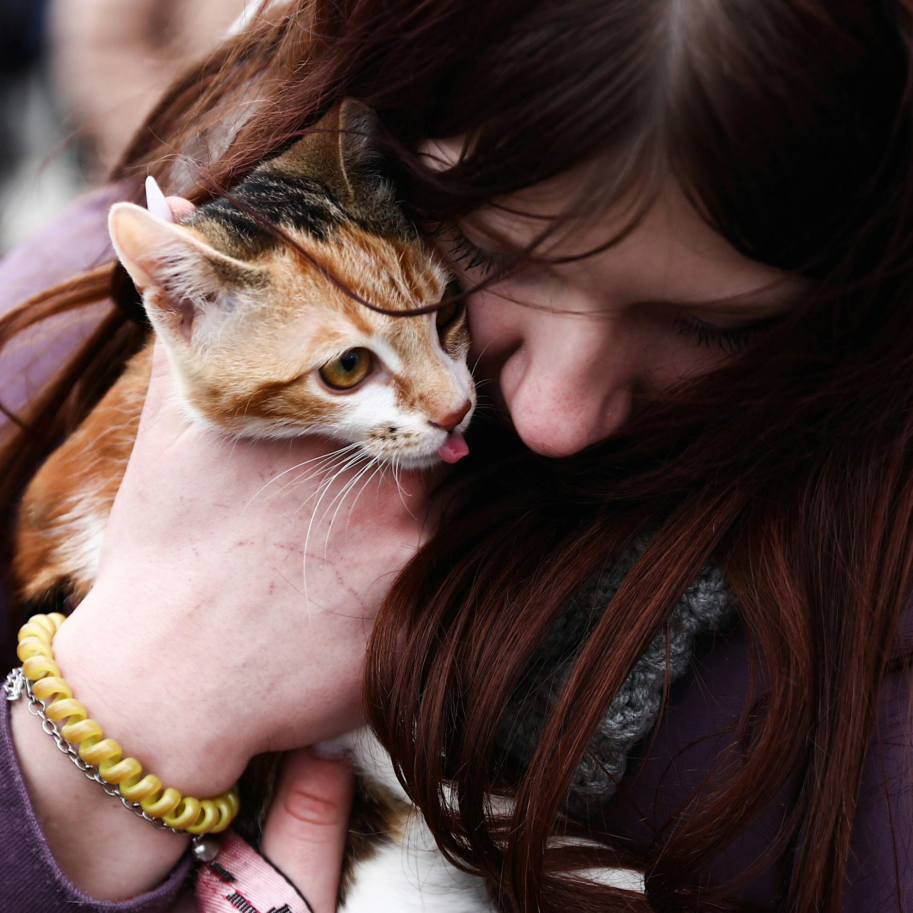 Flüchtlingsdrama spitzt sich zu: Es werden immer mehr – Experte rechnet mit 10 Millionen vertriebenen Menschen aus der Ukraine!