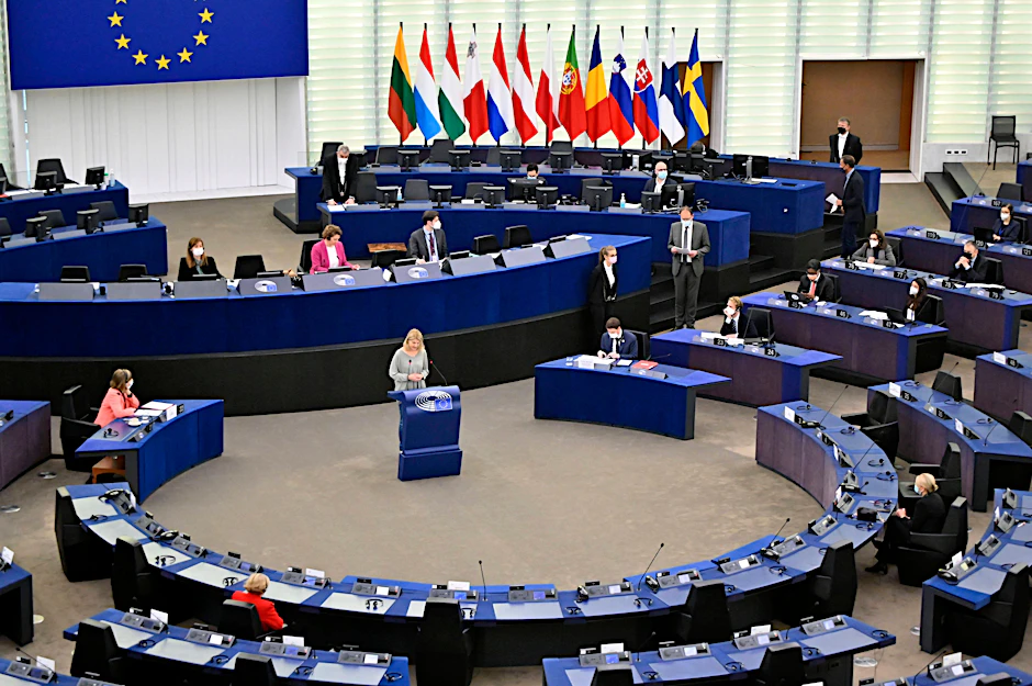Die EU-Politikerin Evelyn Regner im Europäischen Parlament.
