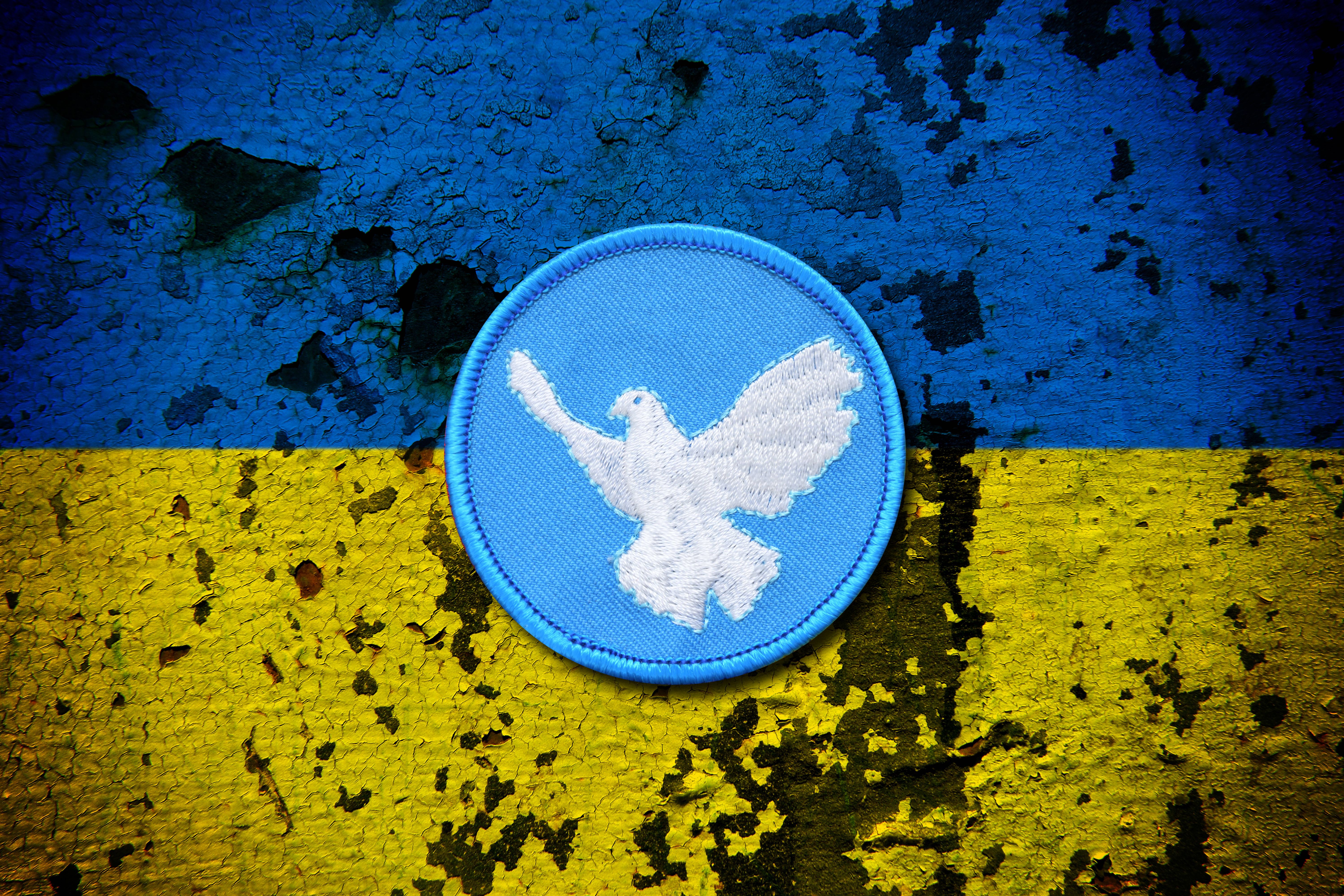 Image - So aktuell wie nie: „Kleine weiße Friedenstaube“: Ukraine-Krieg belebt DDR-Kinderlied neu