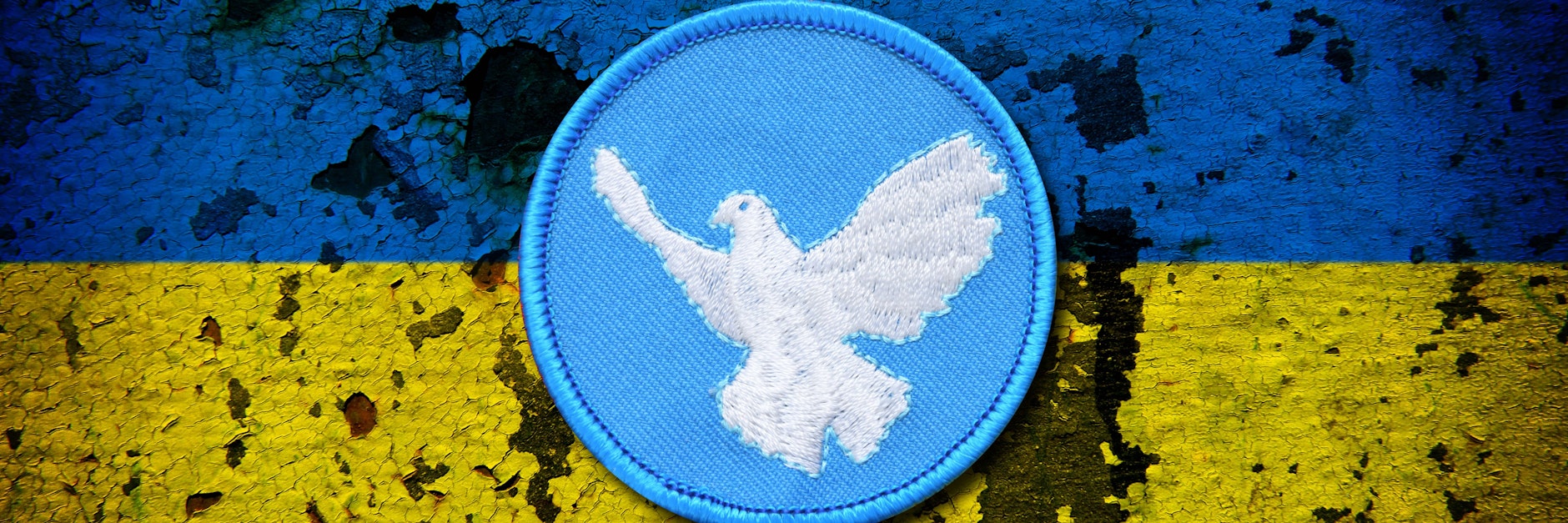 Eine Friedenstaube auf einem Wandbild in den Farben der ukrainischen Flagge