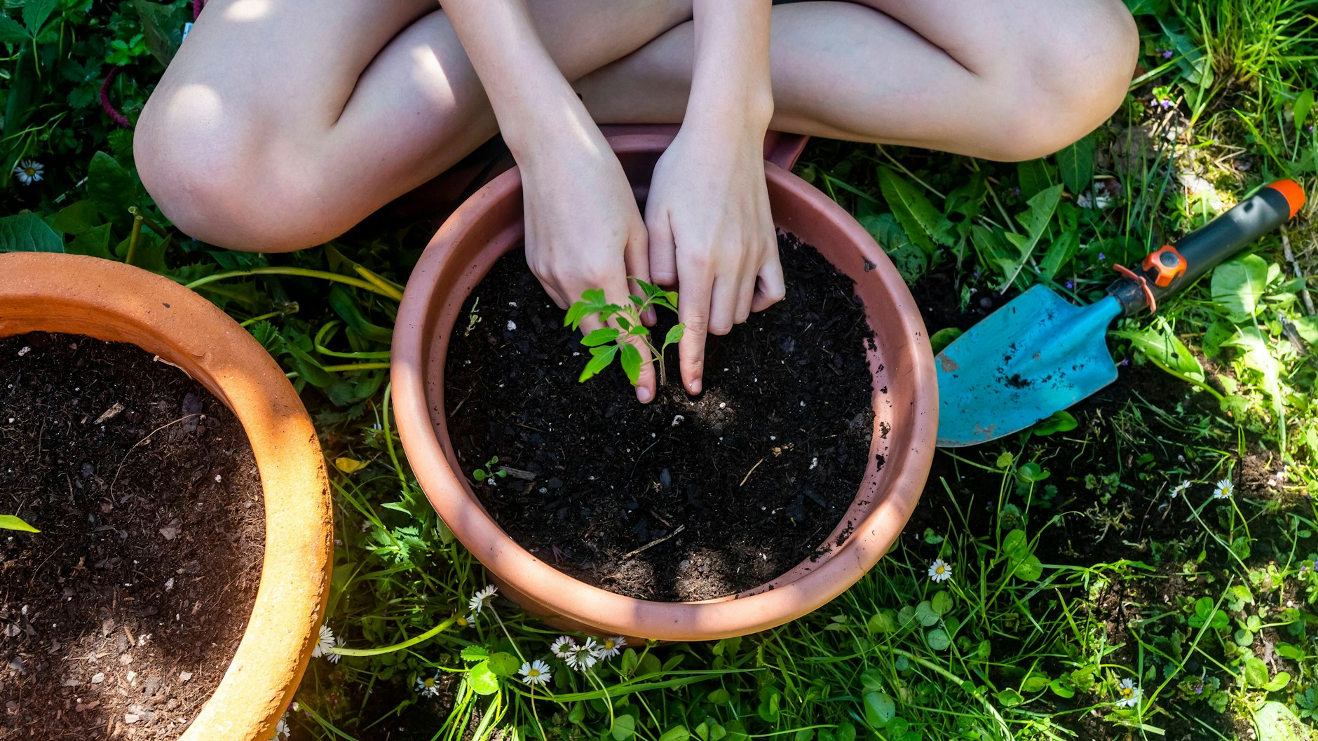 Gartenarbeit kann Hoffnung spenden.