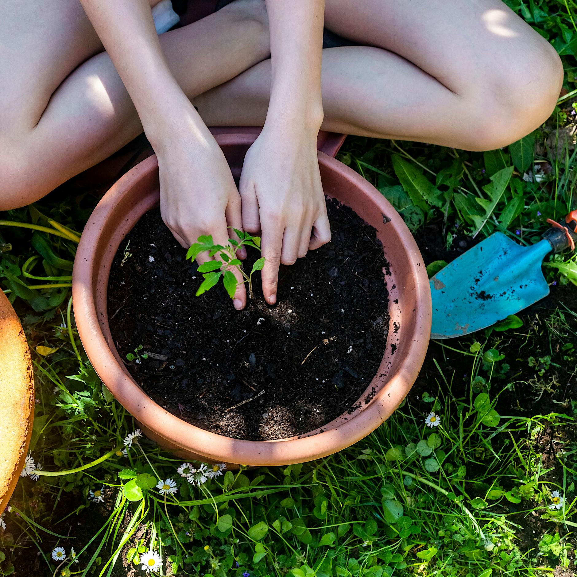 Krieg und Krise: Gartenarbeit lenkt uns ab, der Garten ist ein Ort der Hoffnung
