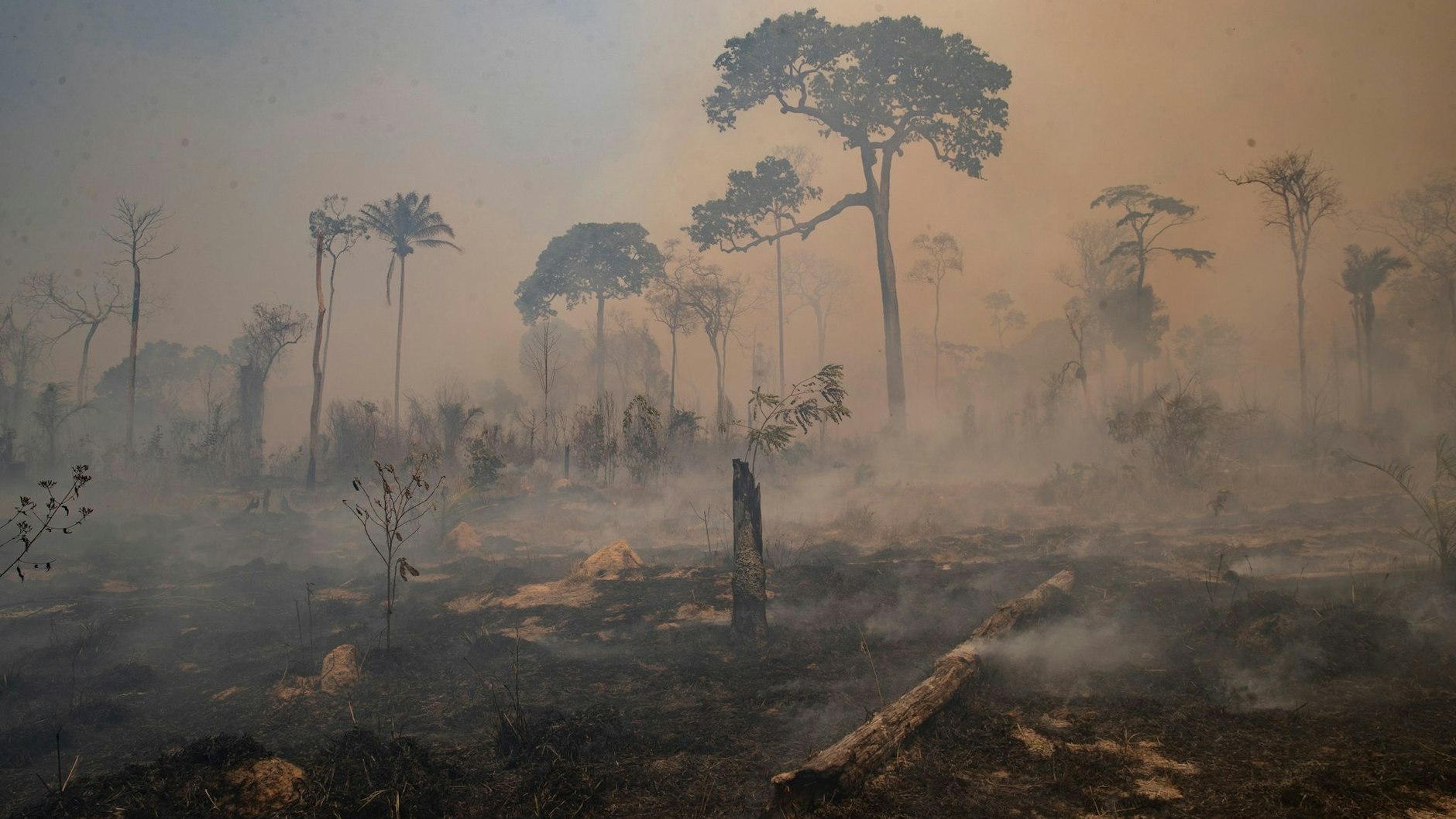 Rauch steigt während eines Brandes im Amazonas-Gebiet auf.