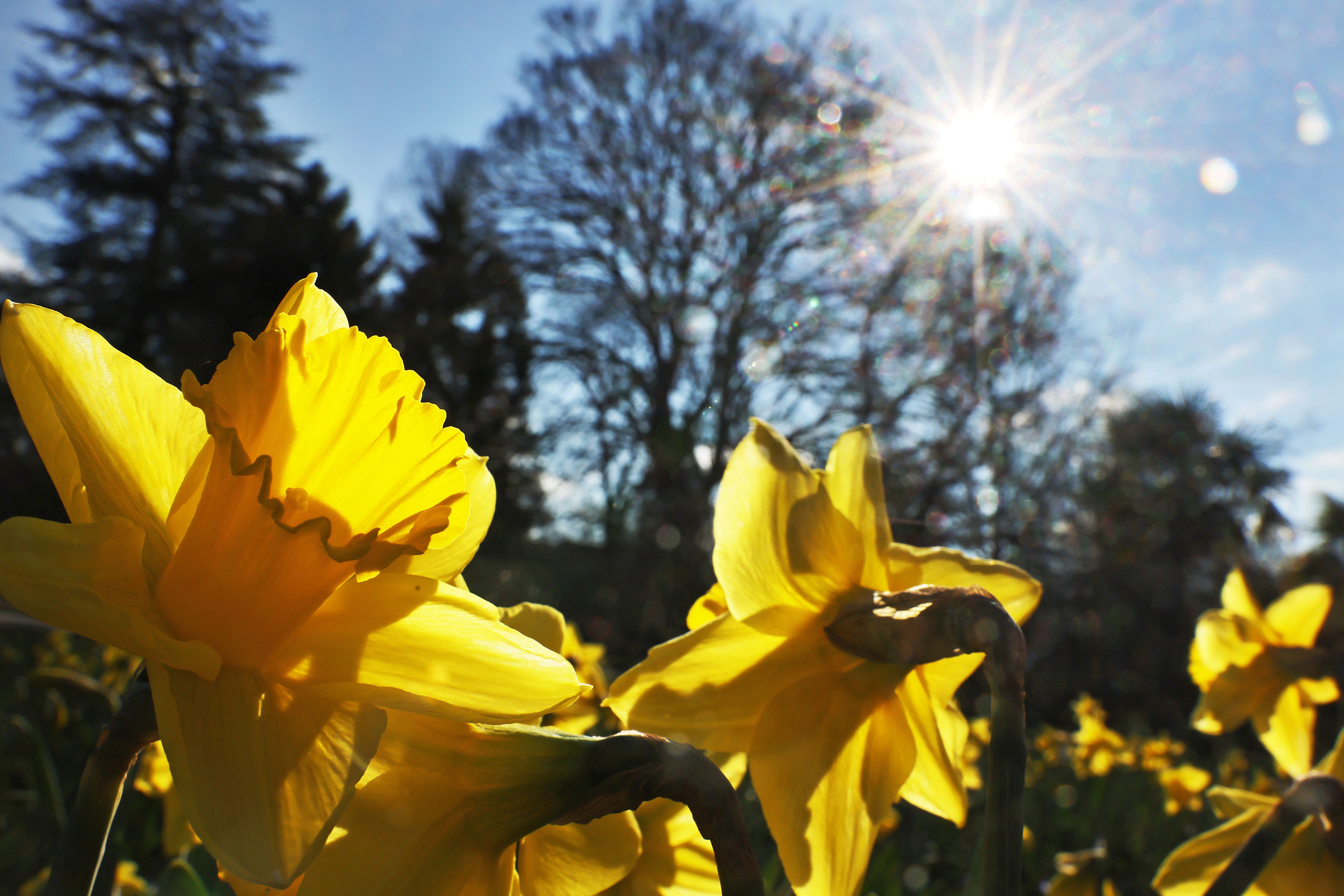 Wetter: Hoch Martin lässt die Sonne strahlen