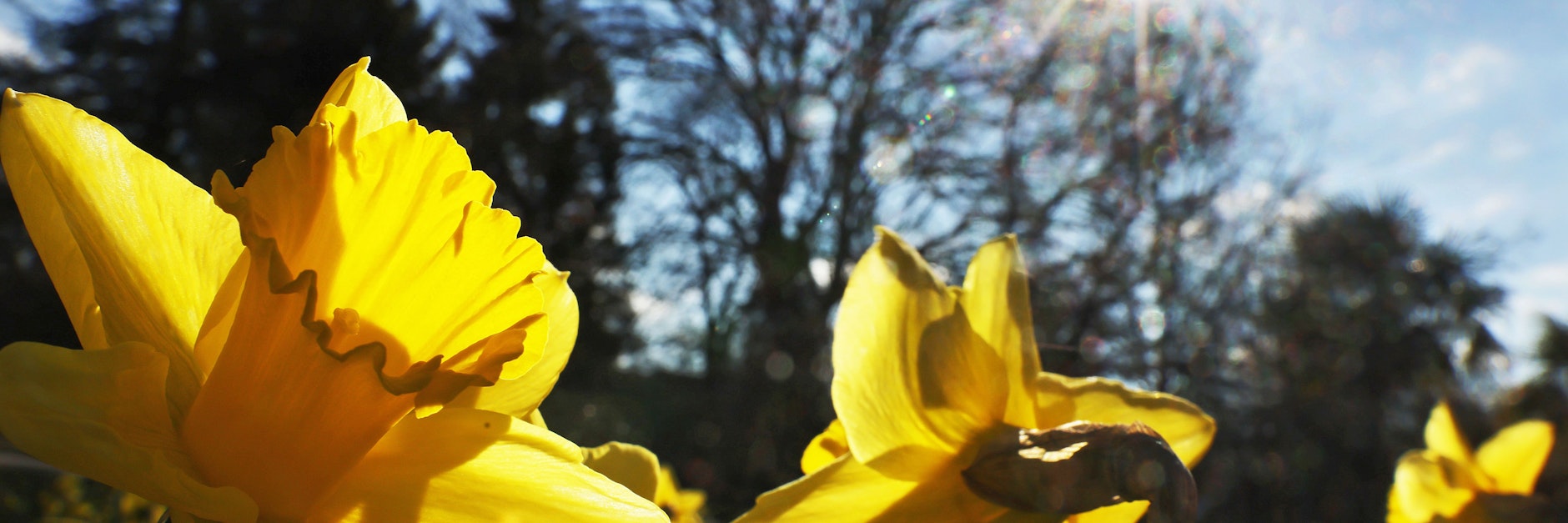Der Frühling kommt so langsam in die Gänge.