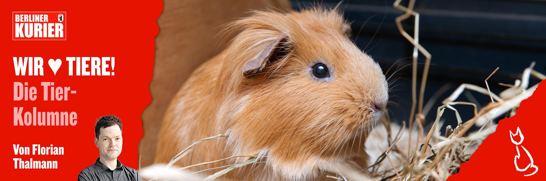 In Leipzig nutzte ein gewalttätiger Mann ein Meerschweinchen als Wurfgeschoss. Wer kommt auf solche furchtbaren Ideen?﻿