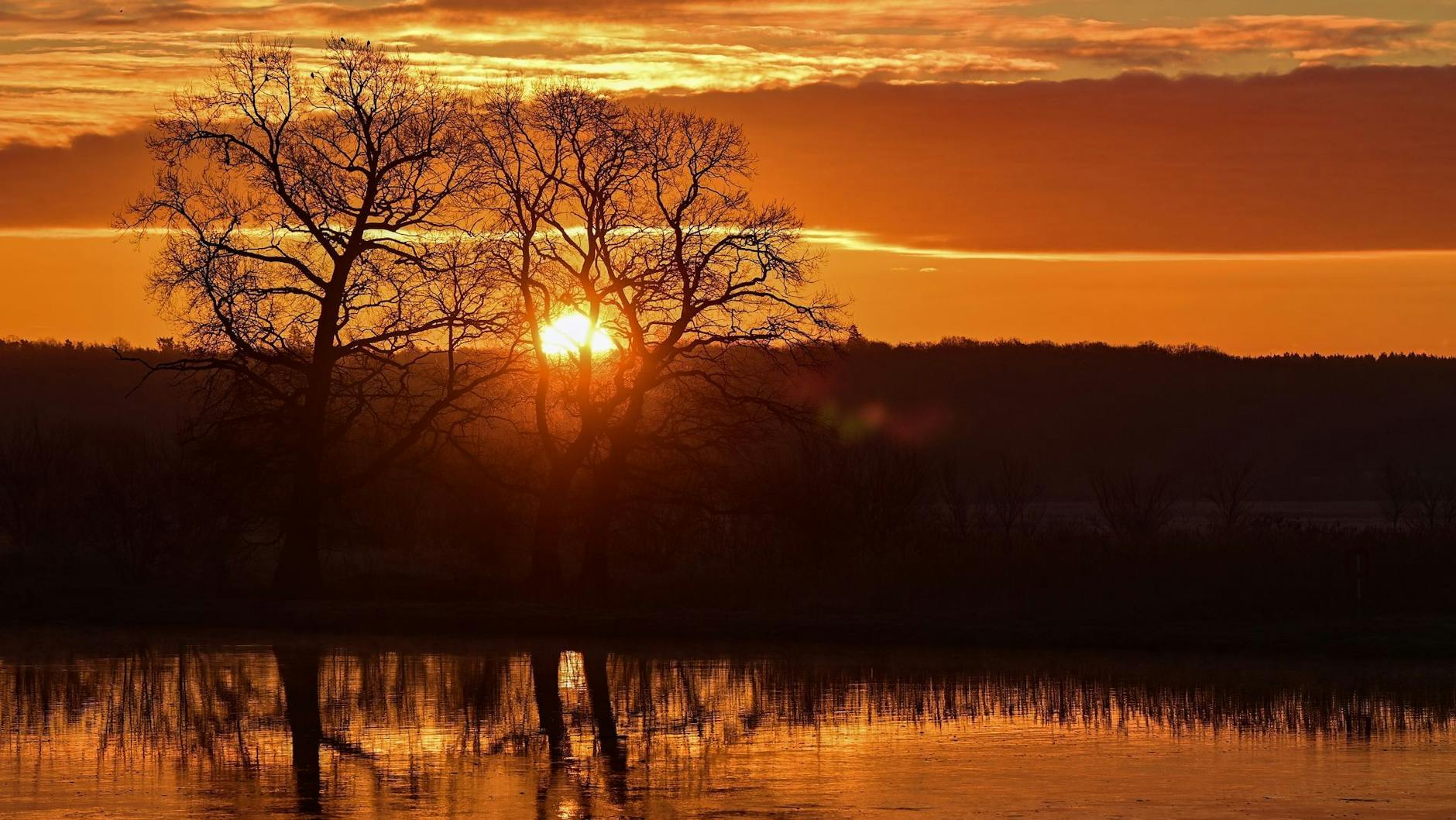 Bei Sonnenaufgang entdeckten Angler die toten Fische in der Oder.