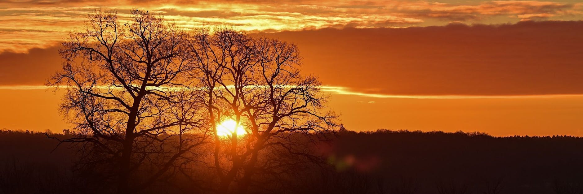 Die aufgehende Sonne leuchtet am Himmel hinter dem deutsch-polnischen Grenzfluss Oder.