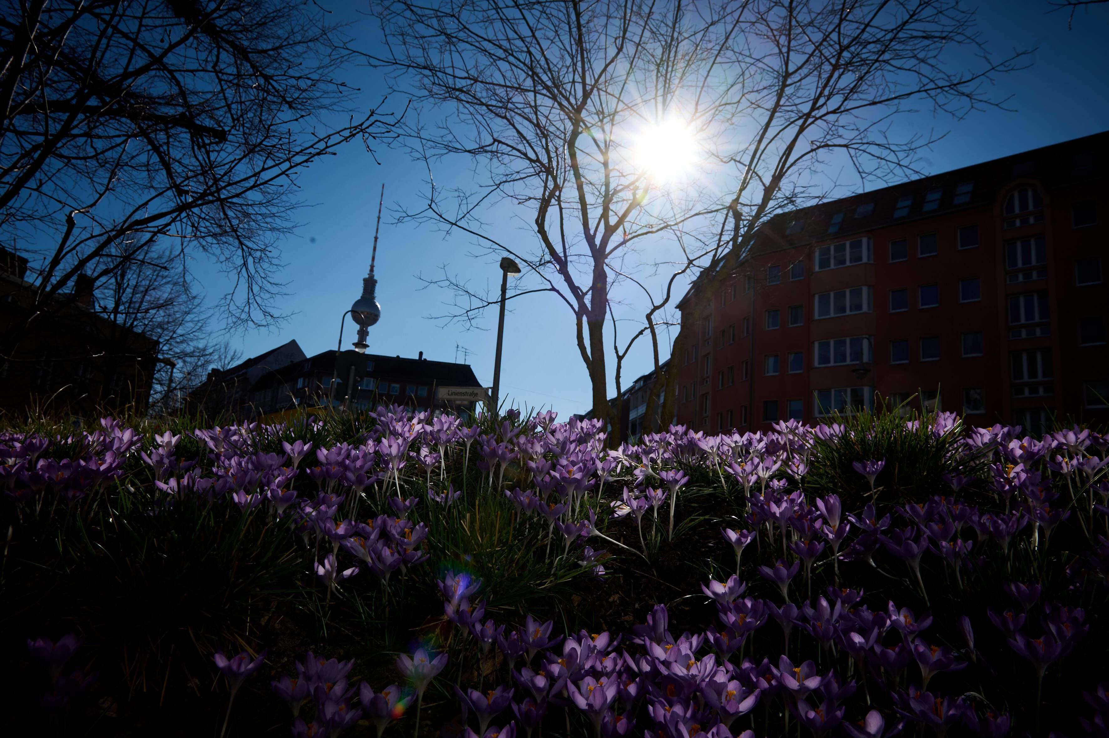Image - Sonne, Sonne, Sonne: DIESE Wetterlage macht Deutschland zum Frühlings-Paradies – ist aber auch gefährlich