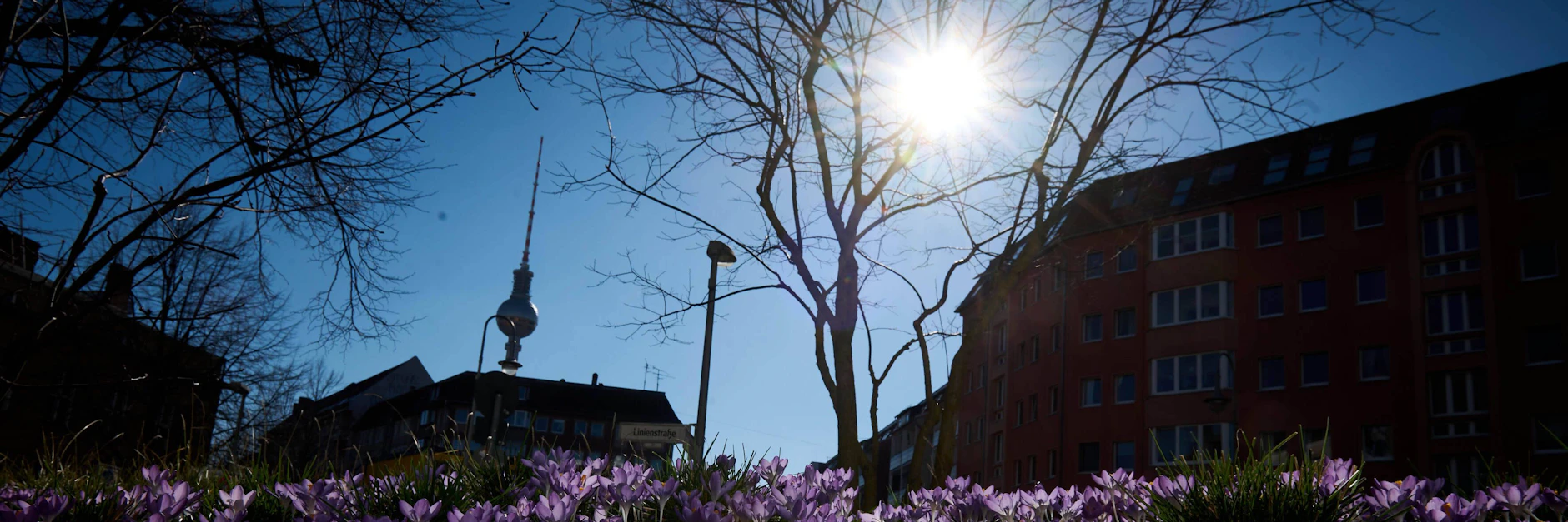 Der März kommt mit viel Sonne und blauem Himmel daher.