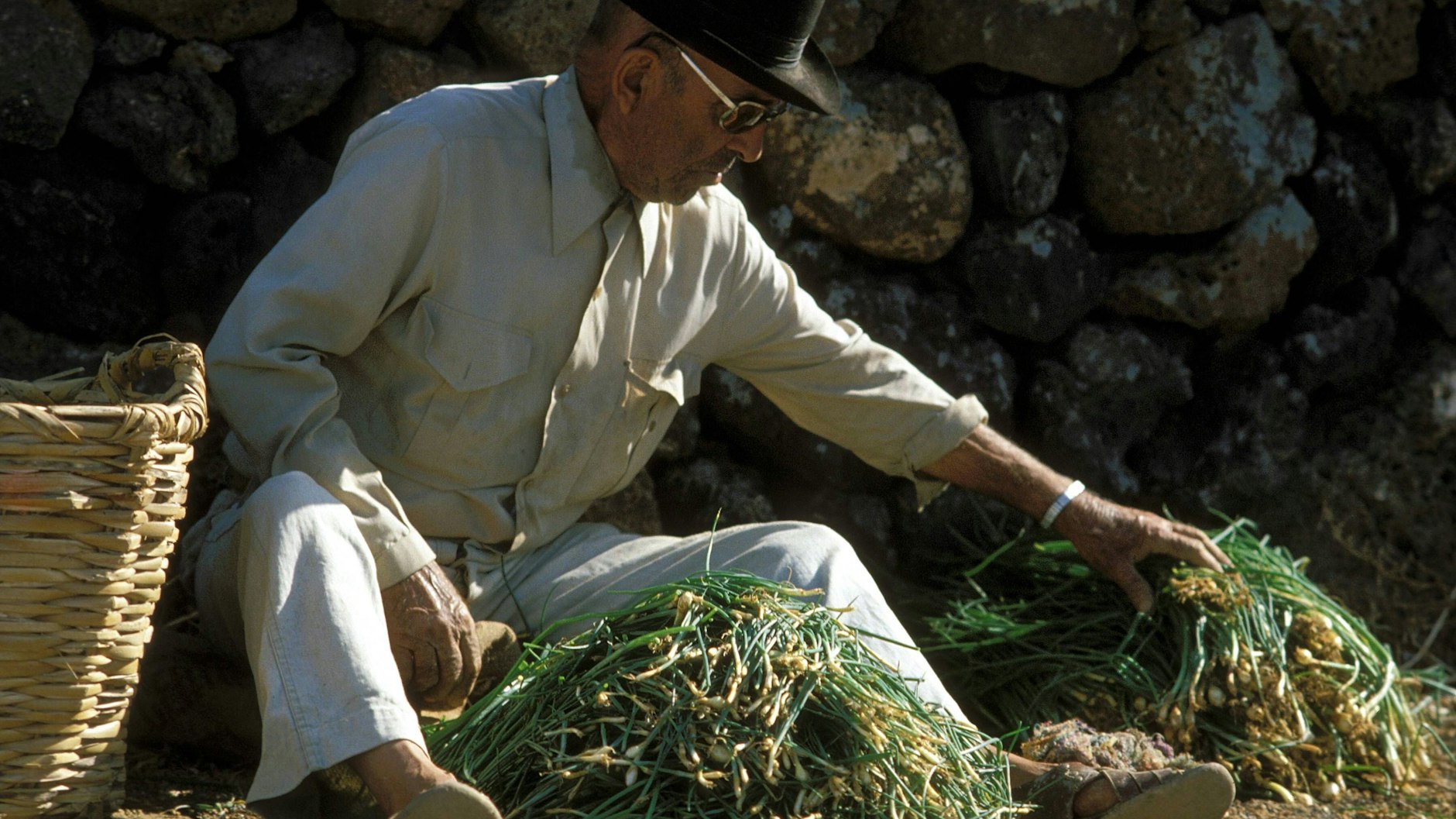 Olle Frühlingszwiebeln, denkt der Deutsche. Für den Spanier (hier ein Herr aus Lanzarote) allerdings sind die lauchigen Stängeli eine coole Sache.